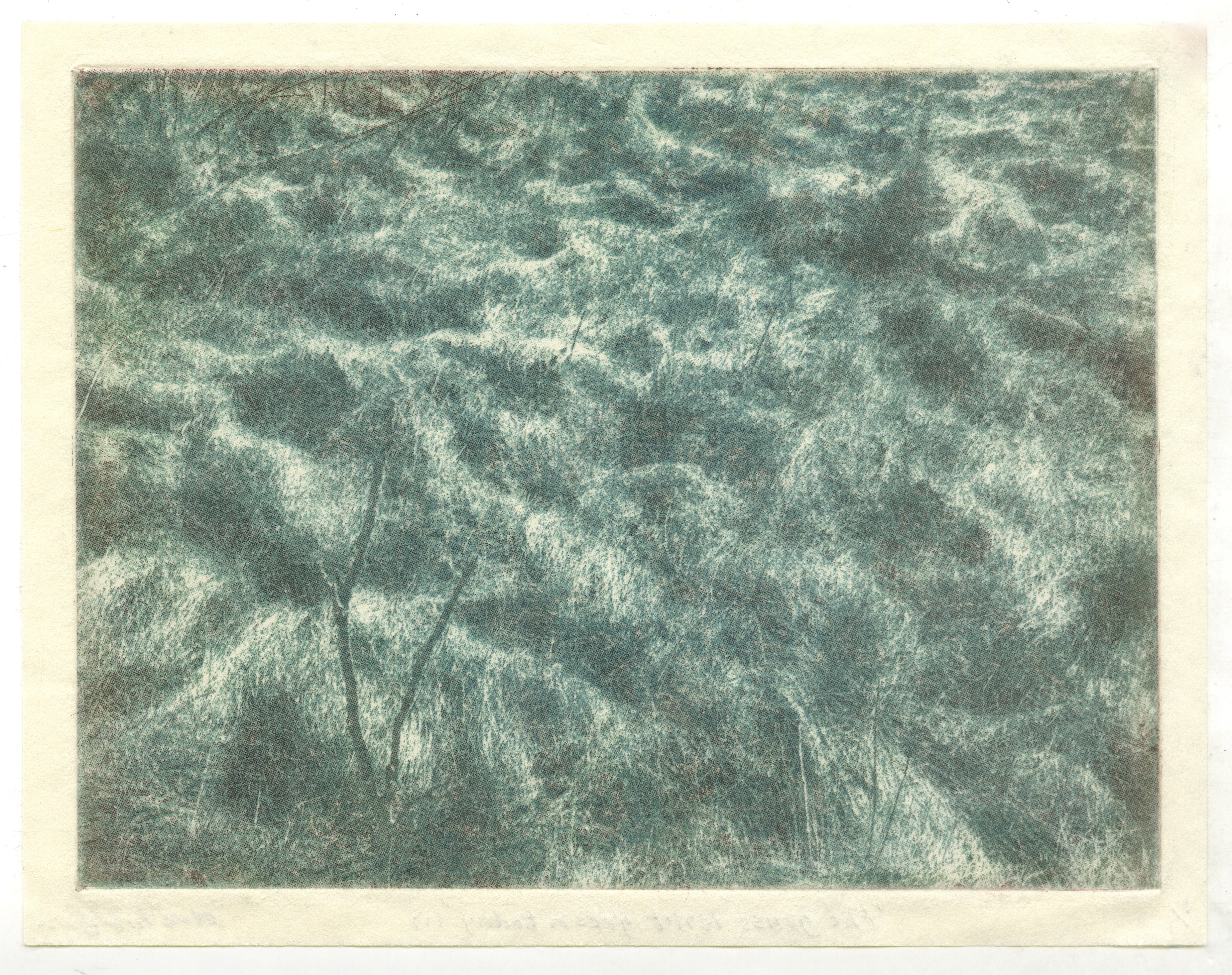 the grass isn't green today