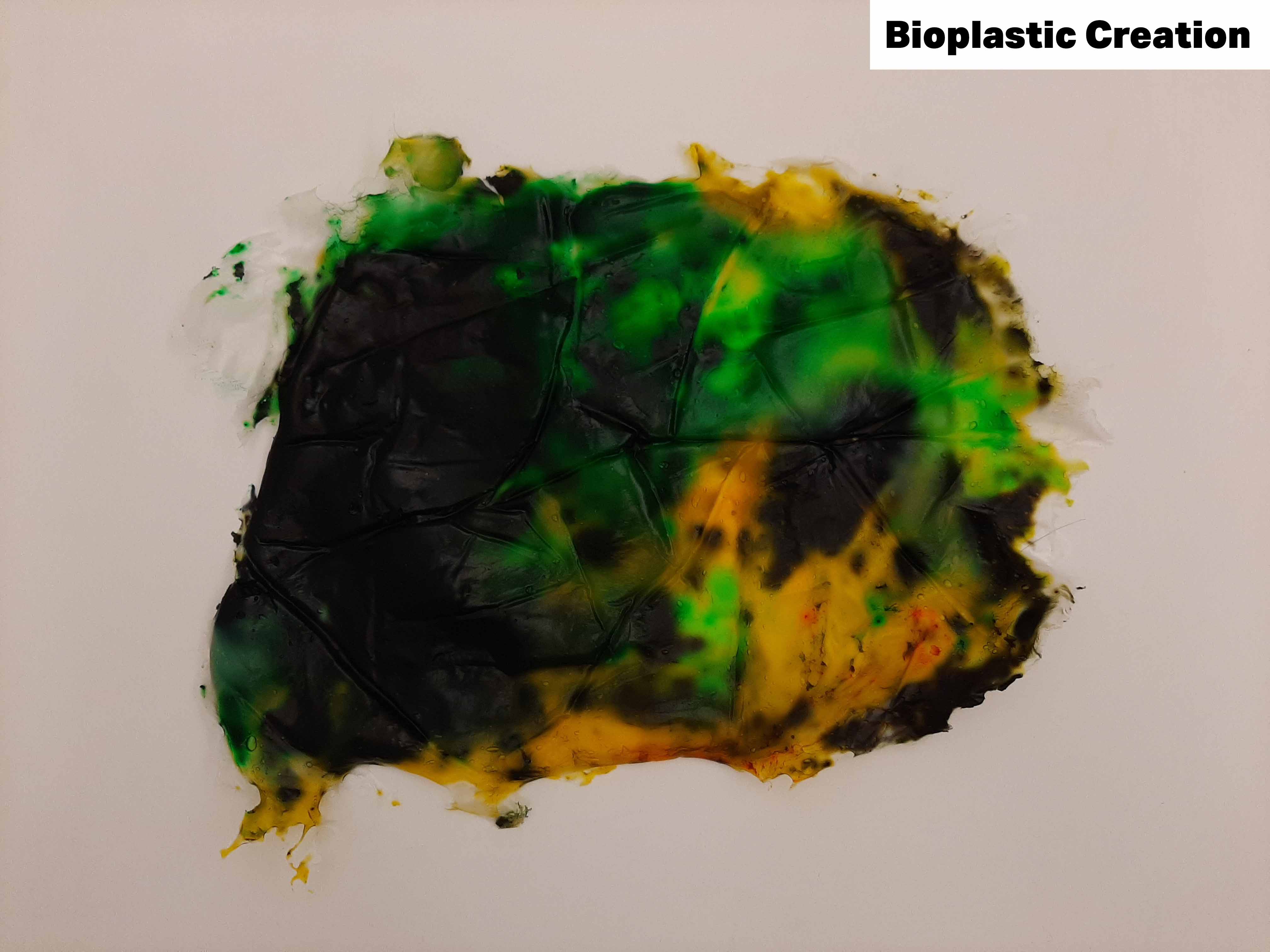 Bioplastic Creation -1