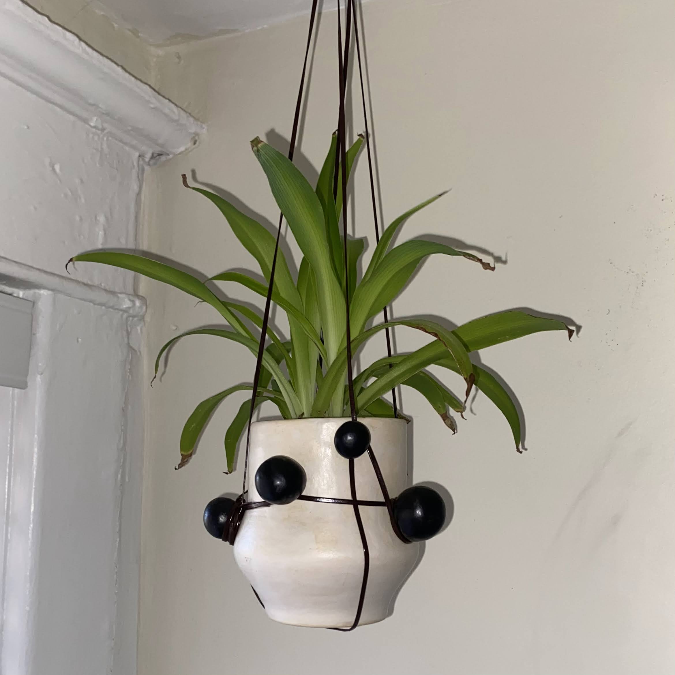 Suspend Vase