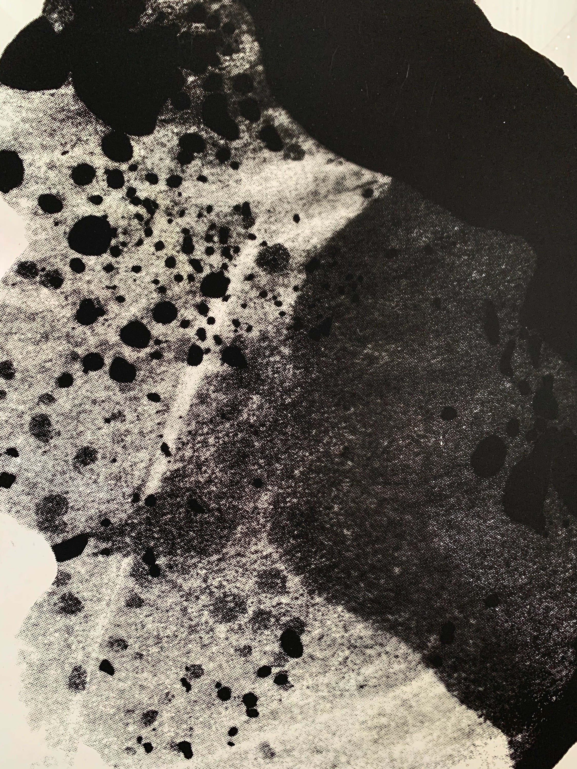 Memories don't Always Last a Lifetime