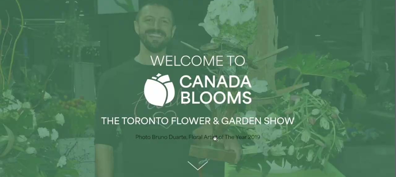 Canada Blooms Relaunch
