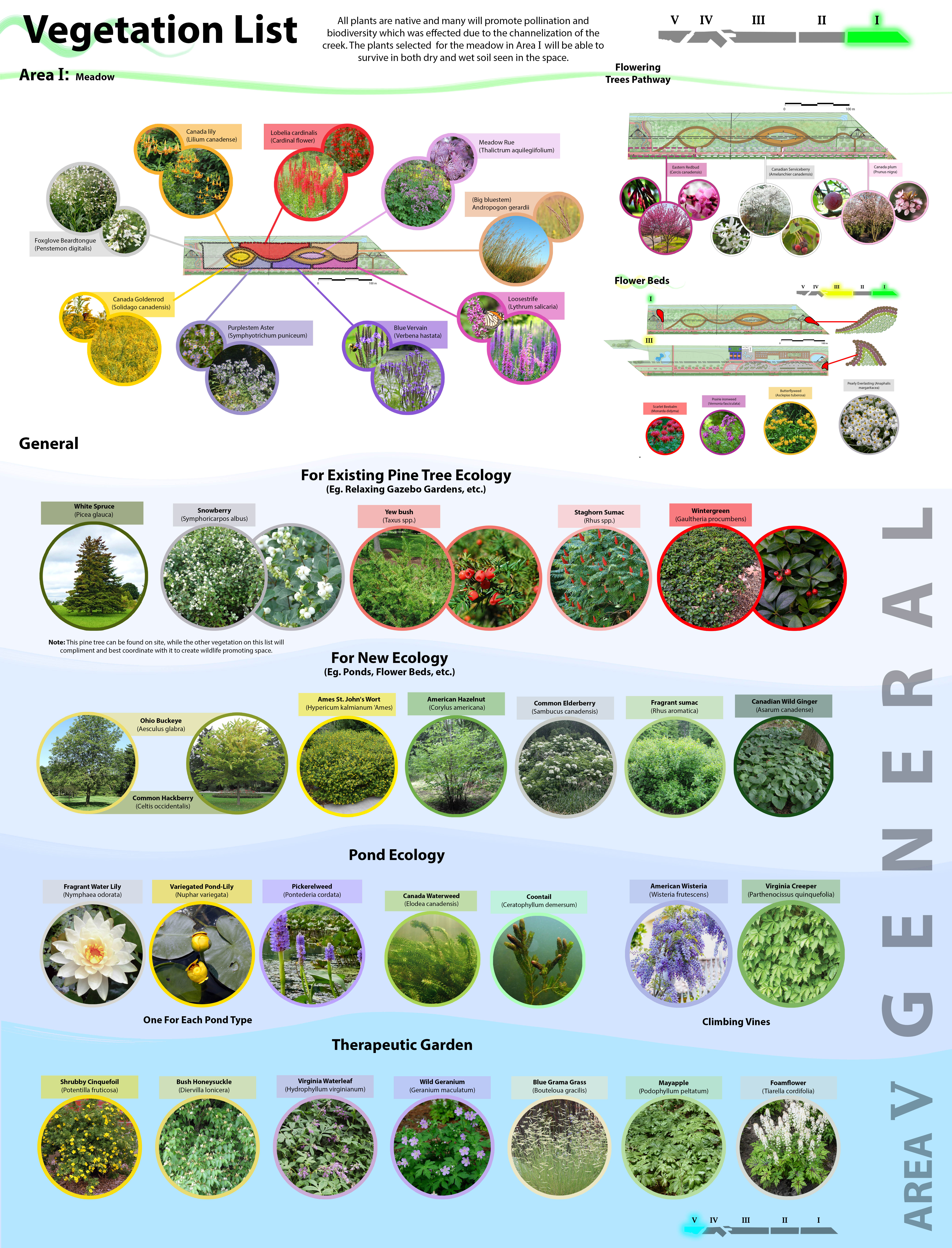 Vegetation List