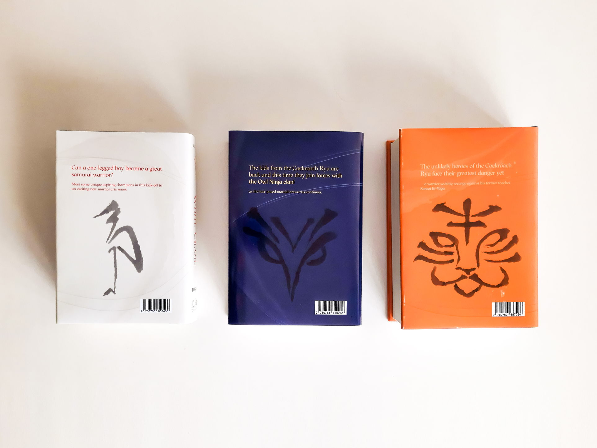 Samurai Kids: Book Cover Redesign