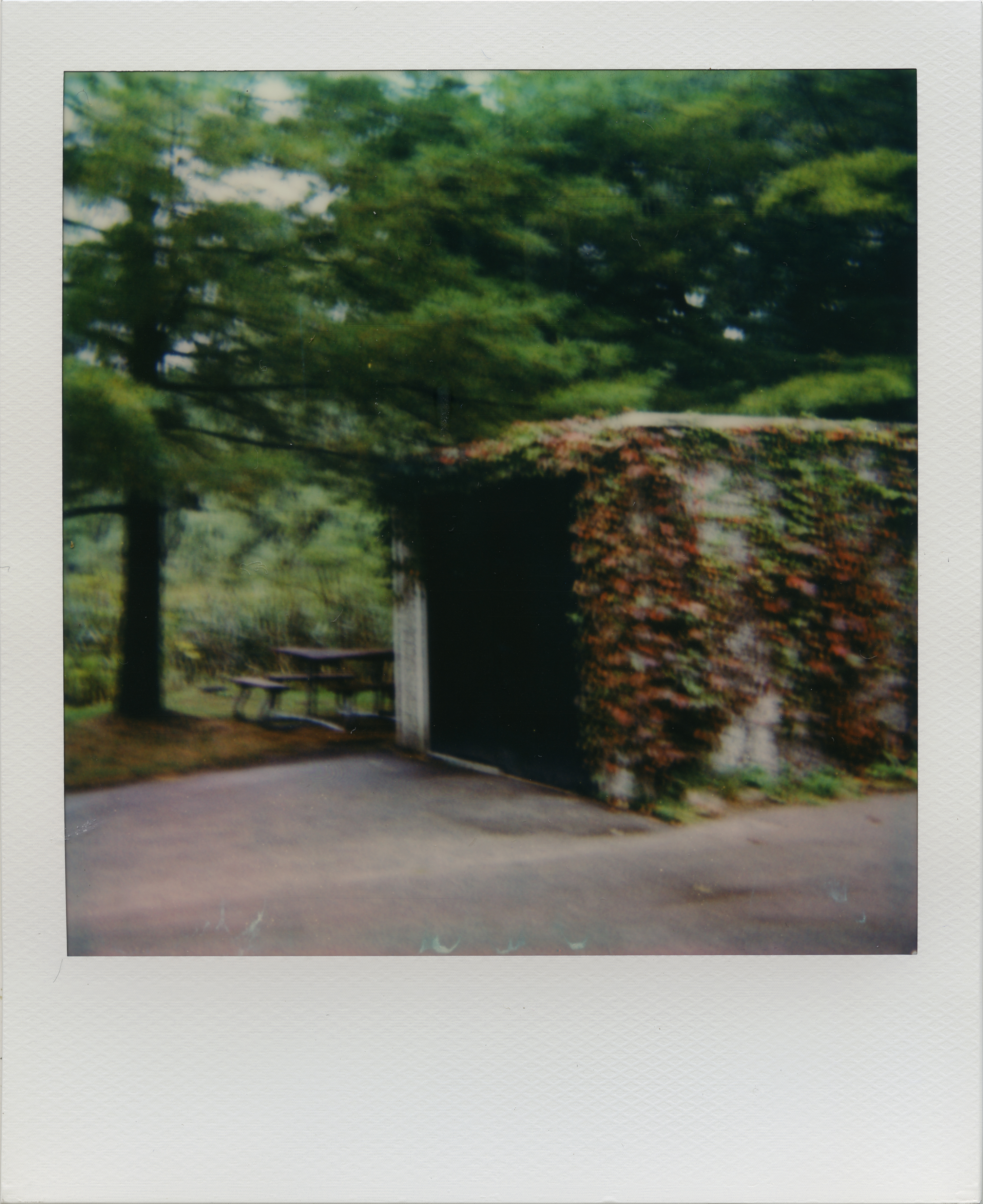 Where We Used to Walk