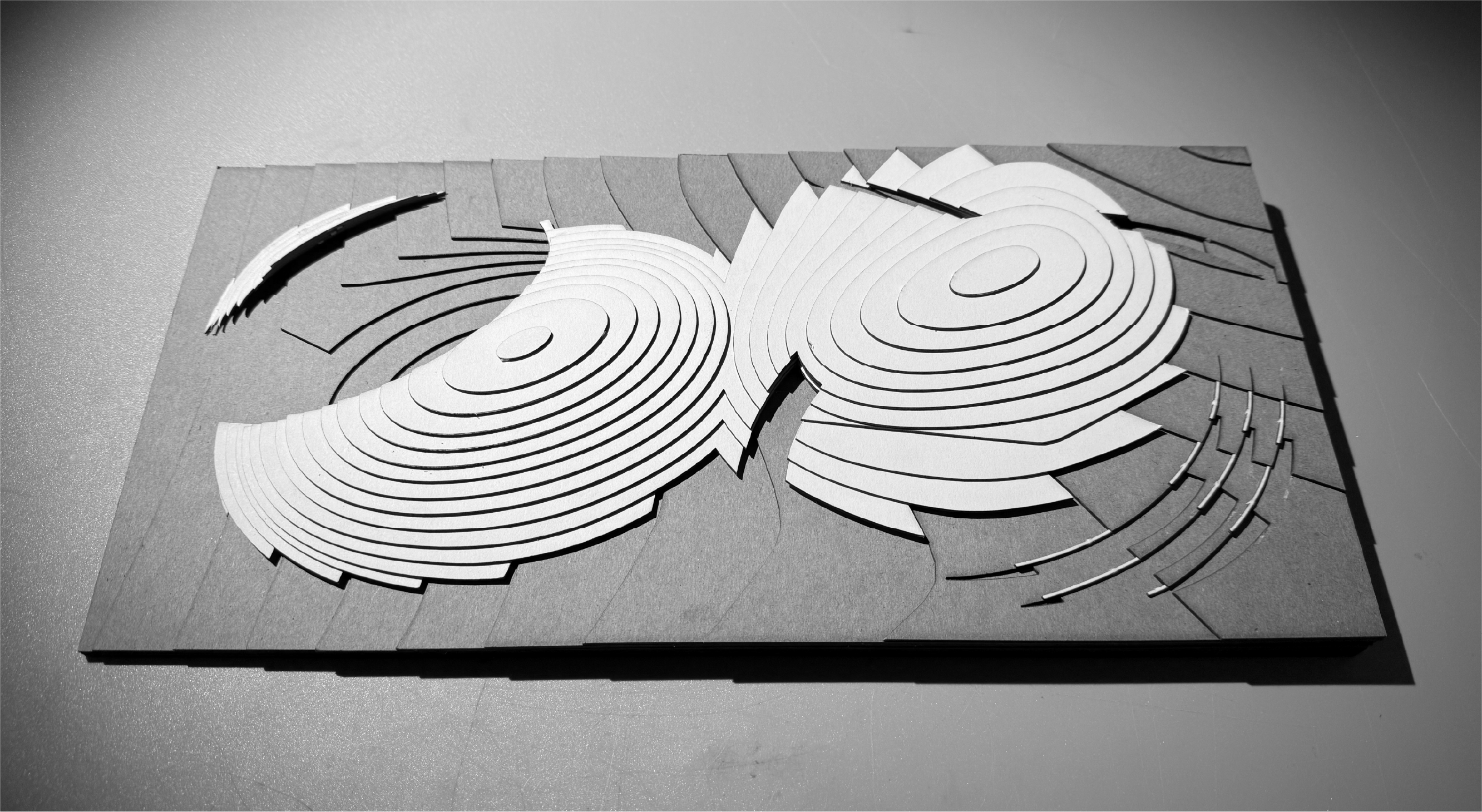 Physical Model: Plan View