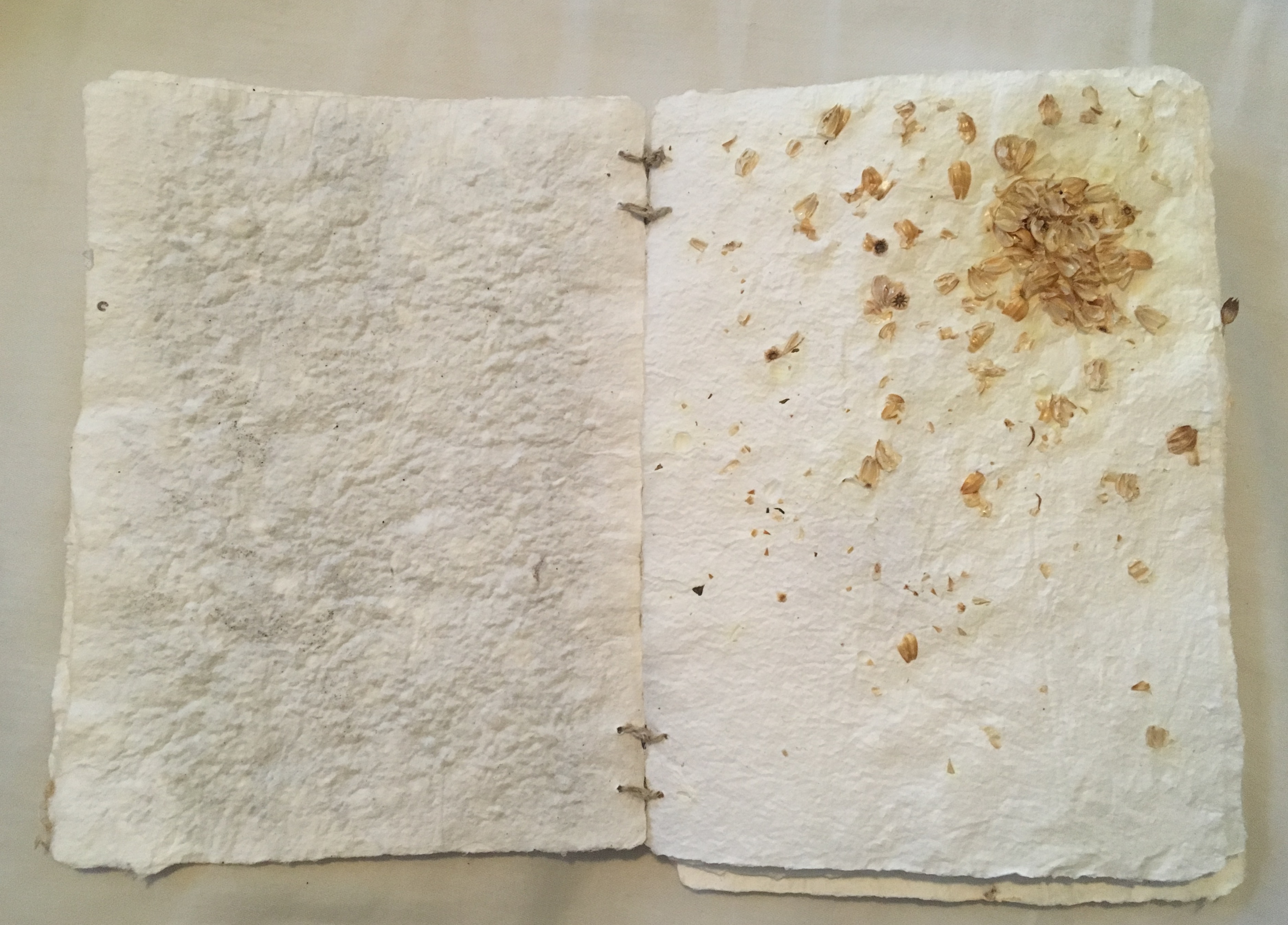 A Book From Seed and Soil