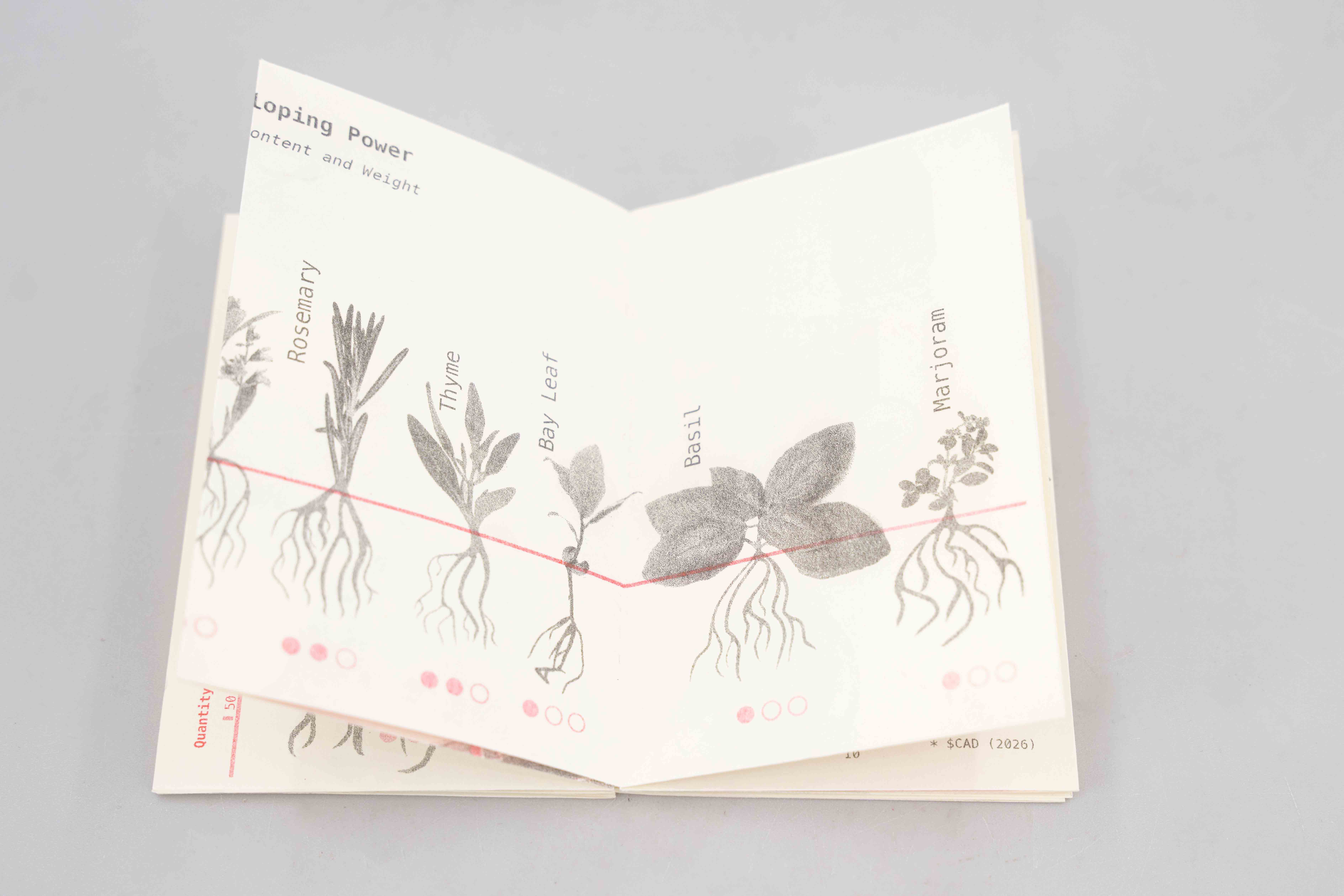 How to Develop Film With Plants