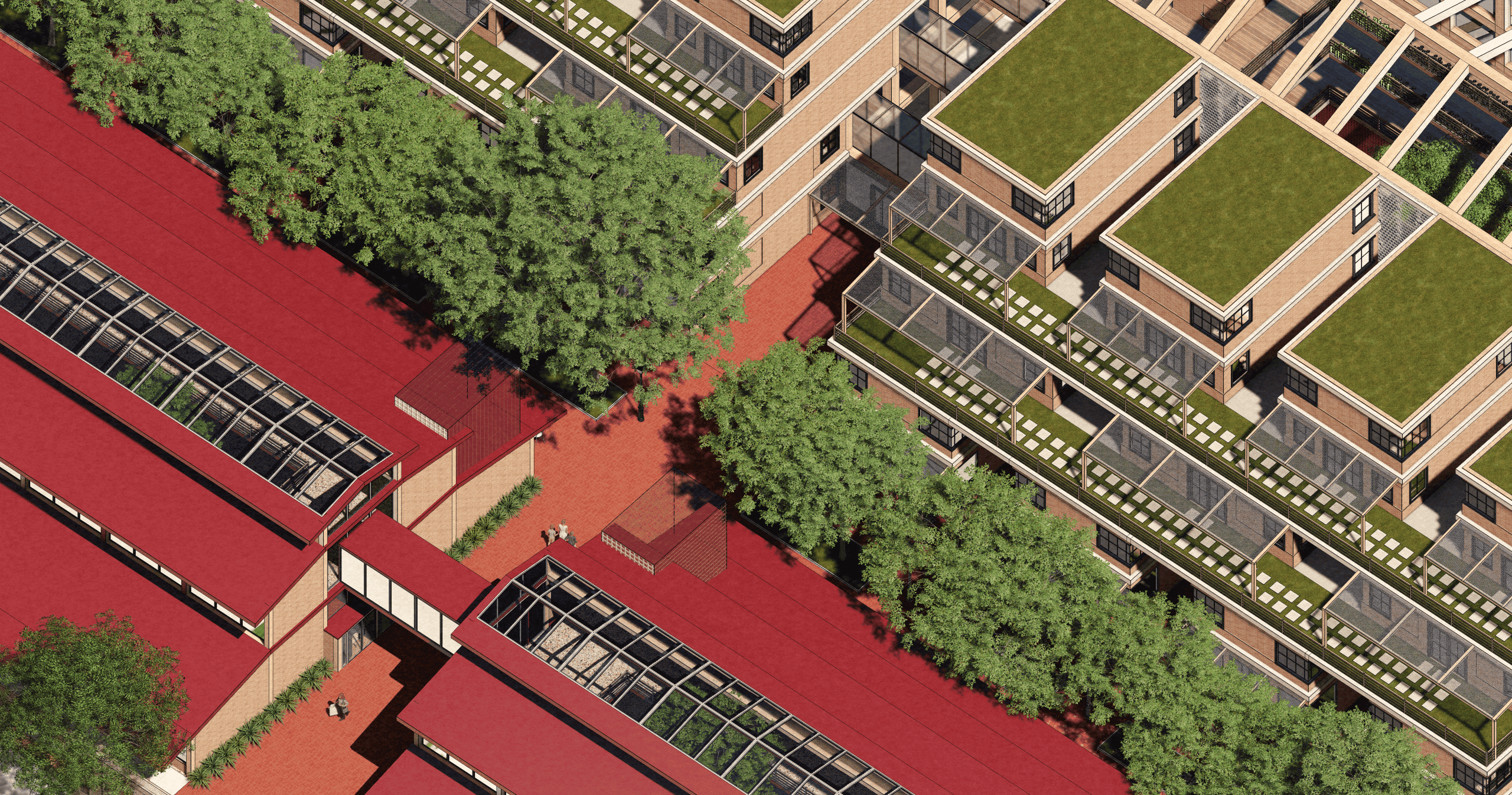 Site Orthographic