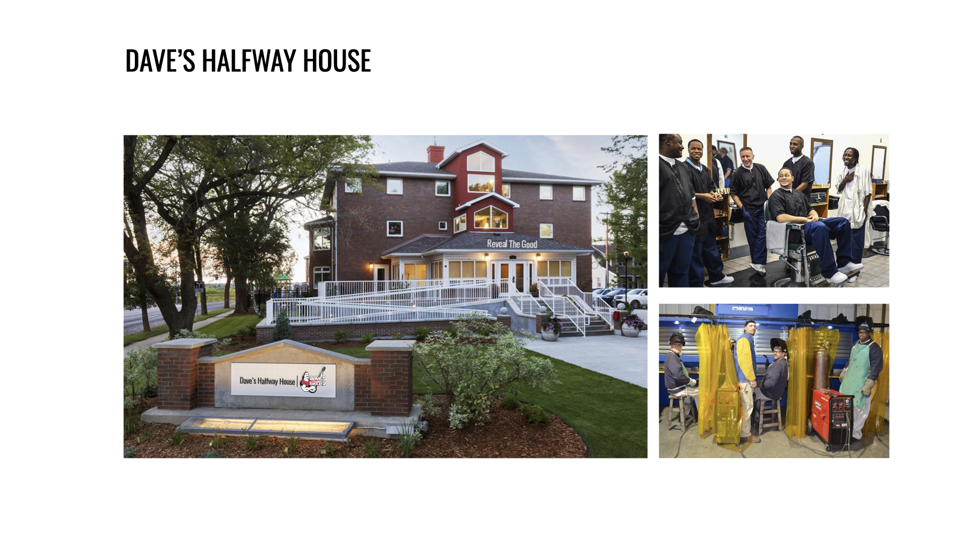 Dave's Killer Bread 11