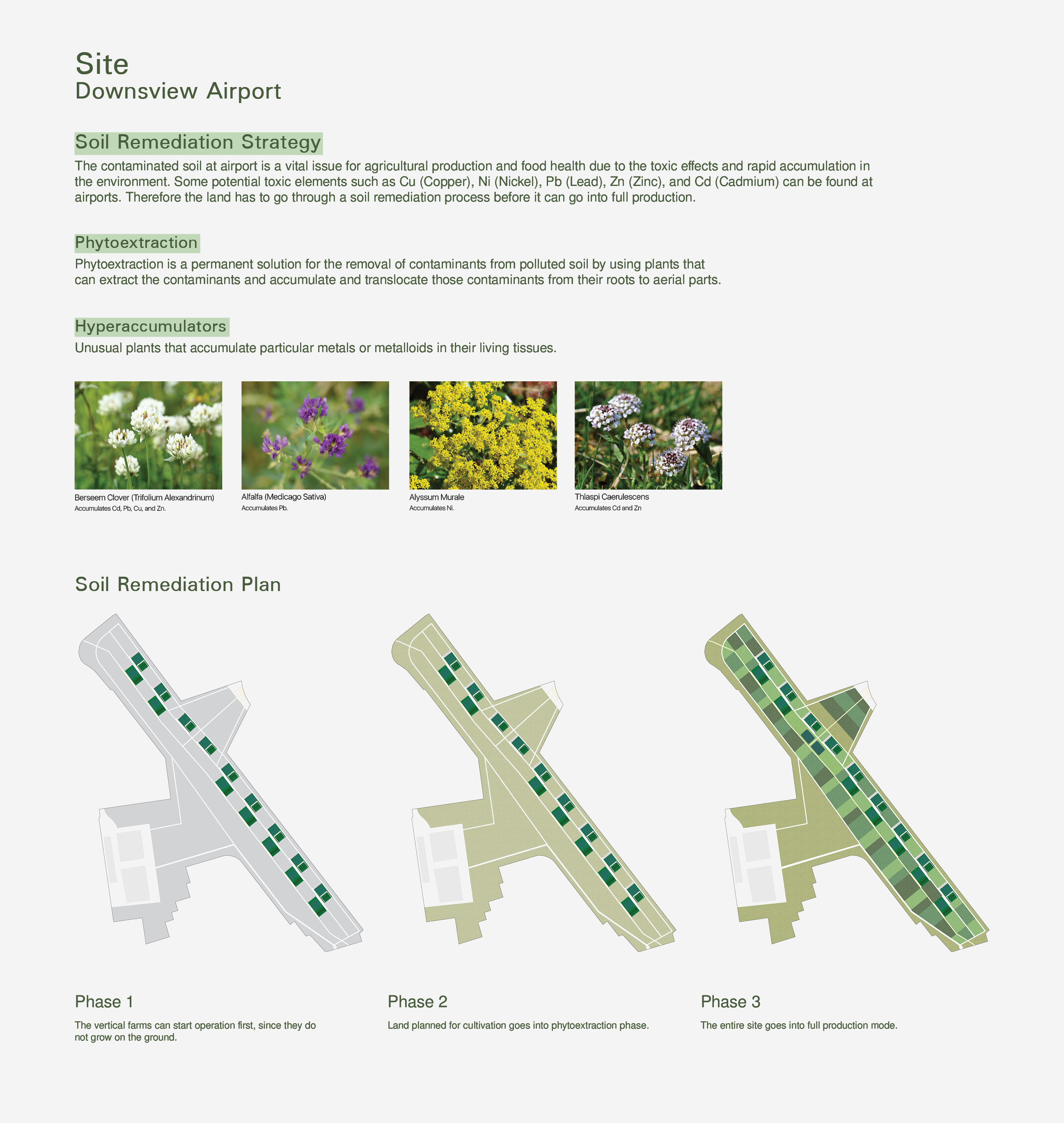 Sustainable Food Future