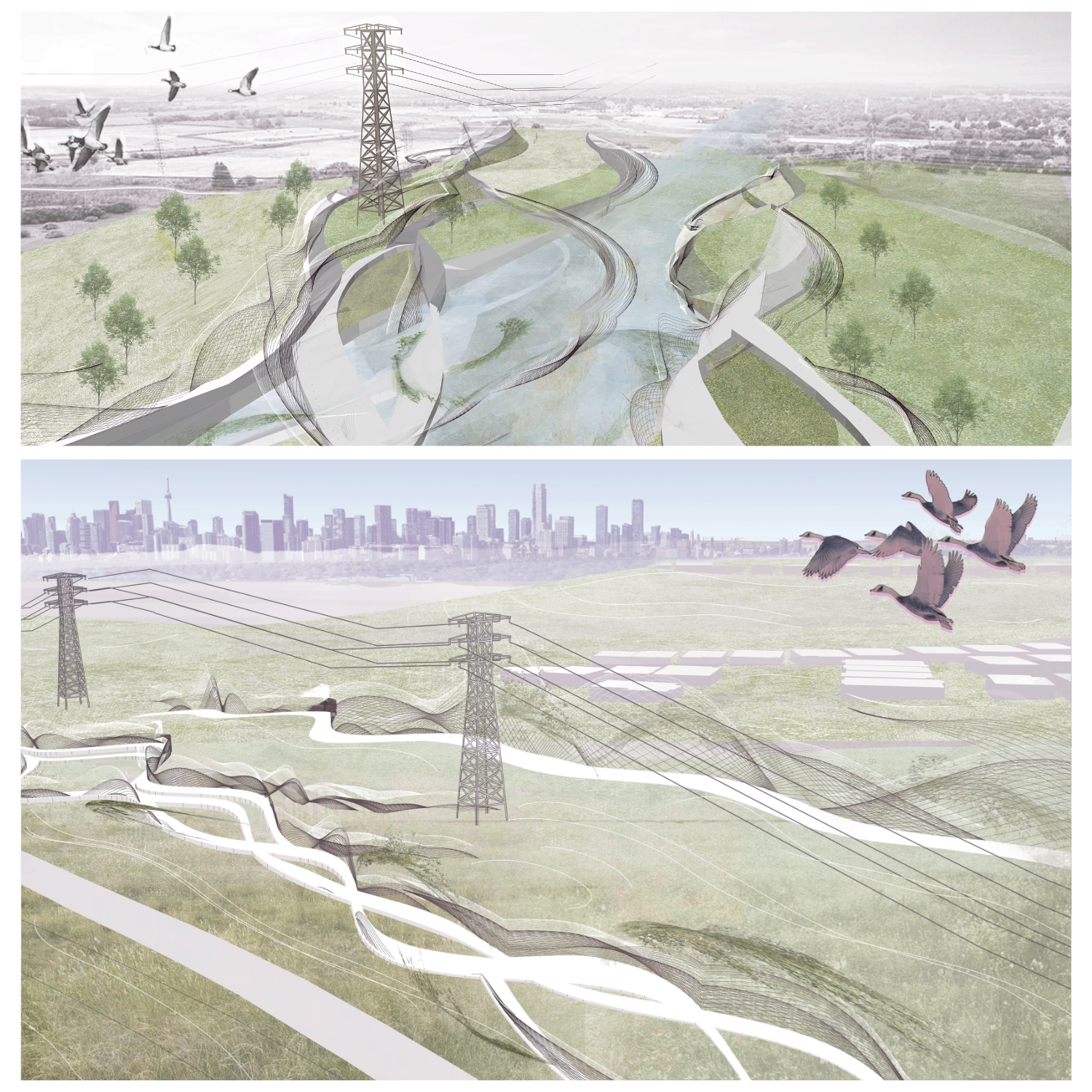 Co-Habitat Corridor