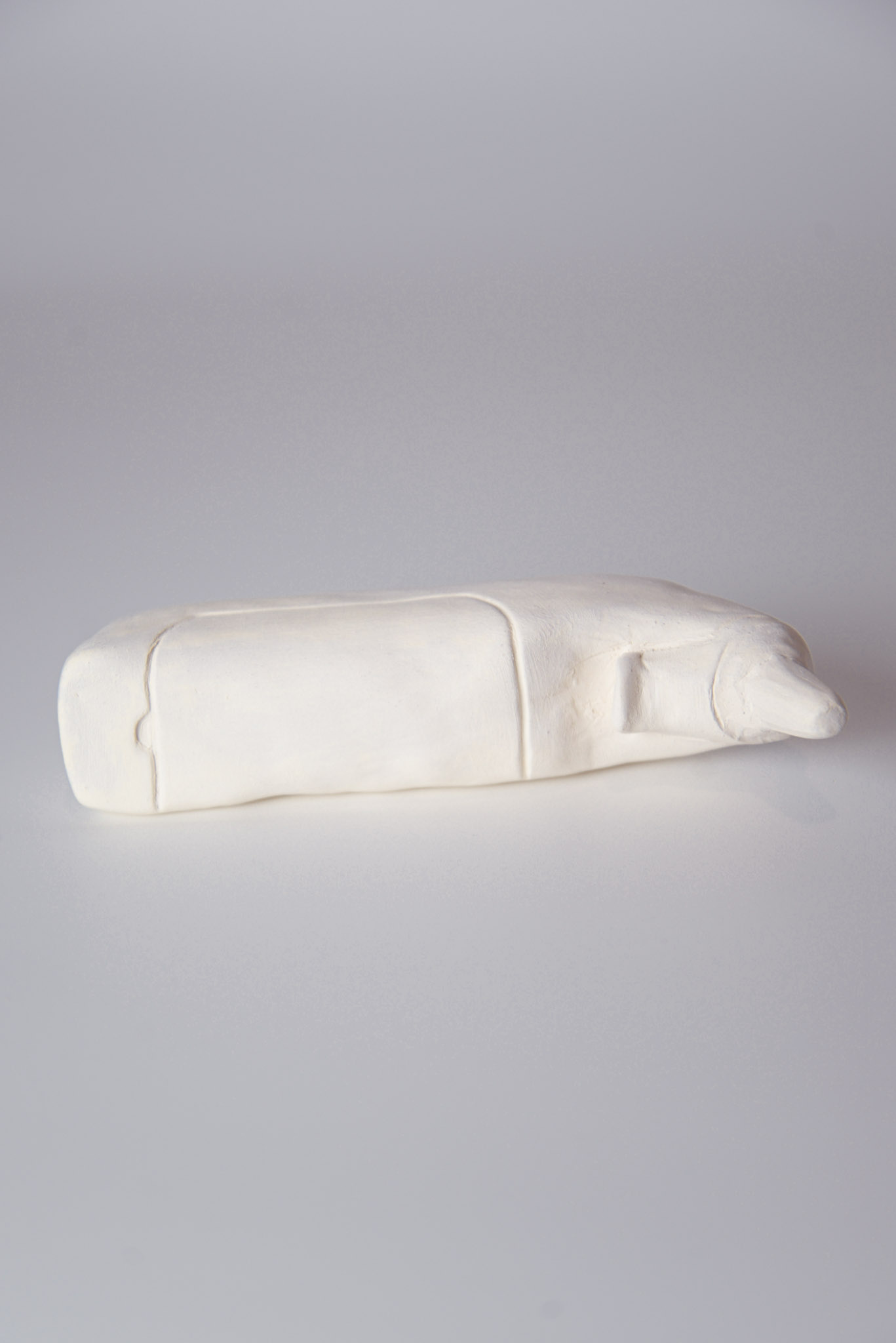 Series: Medical Sculptures