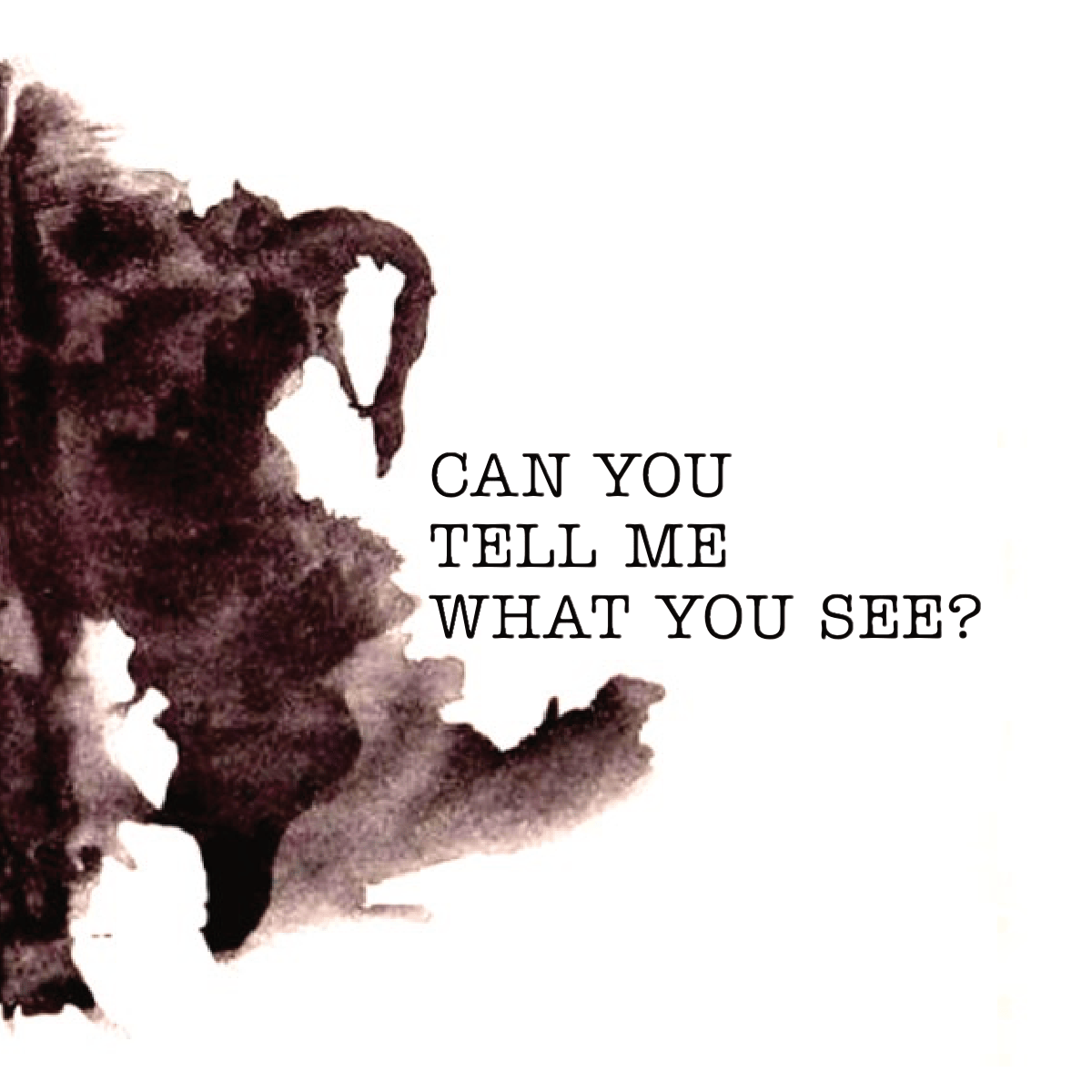 Can You Tell me What You See?