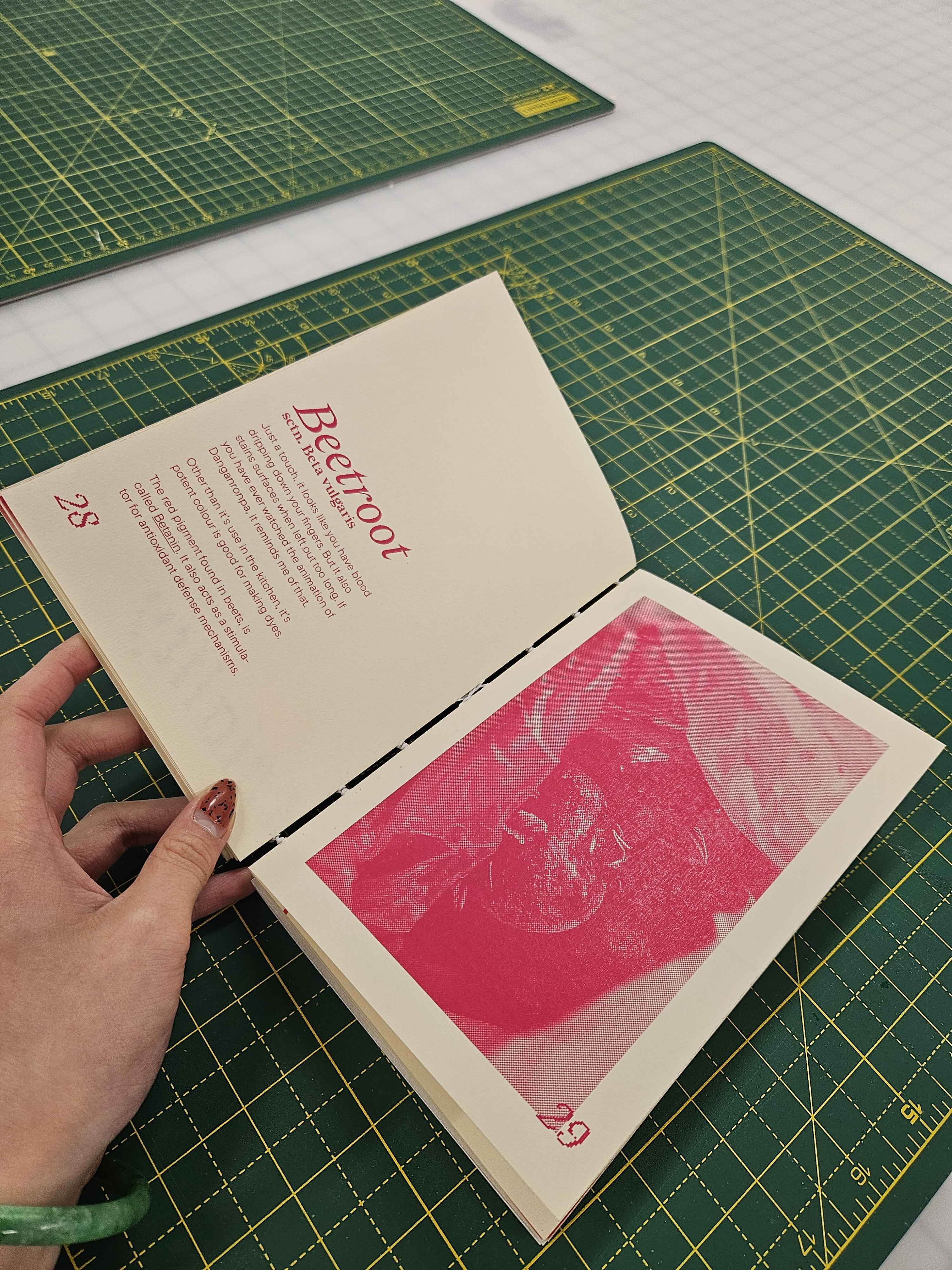 Anthotypes: The Process Growing Little Prints at Home