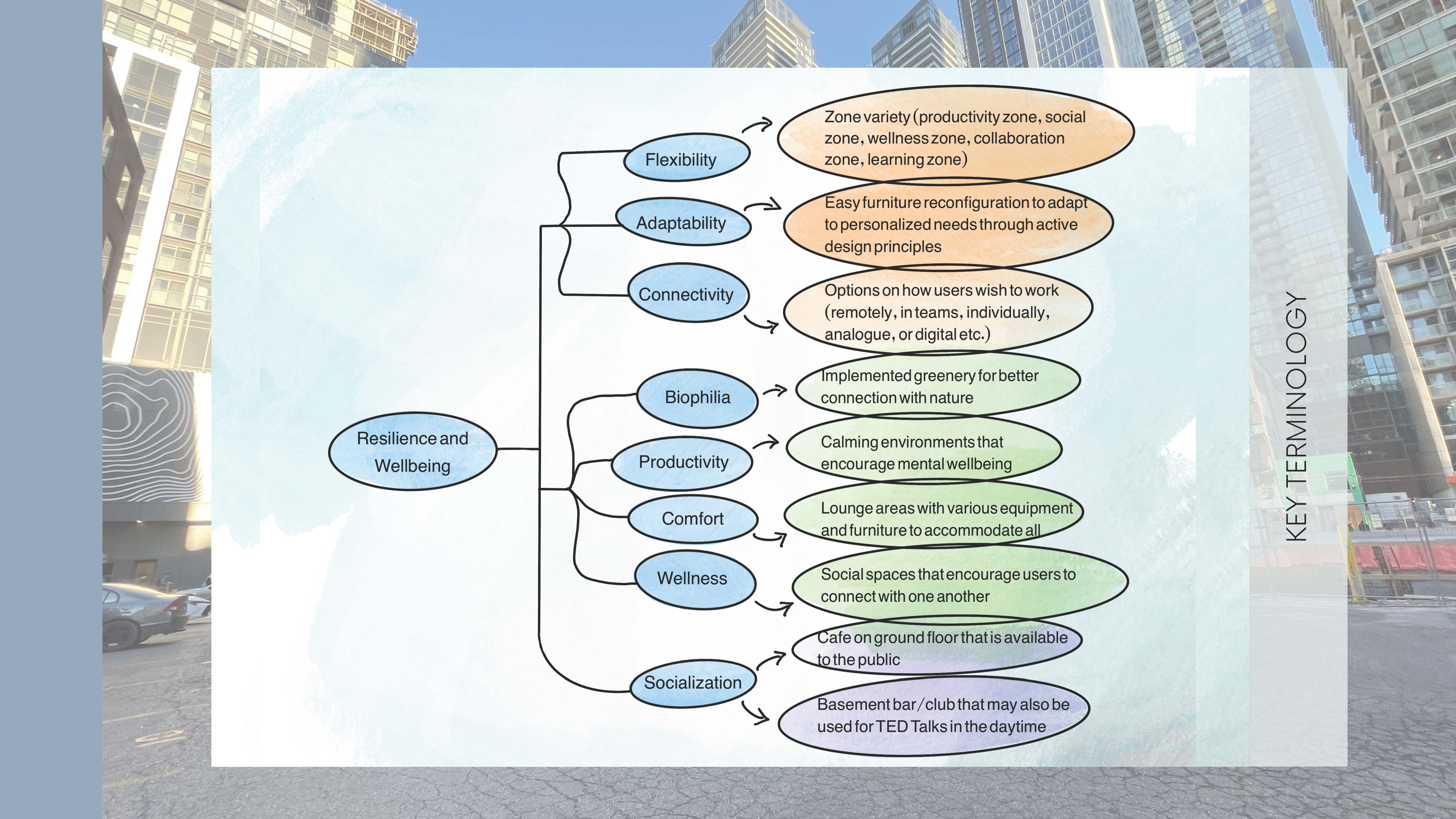 The Comfy Collective