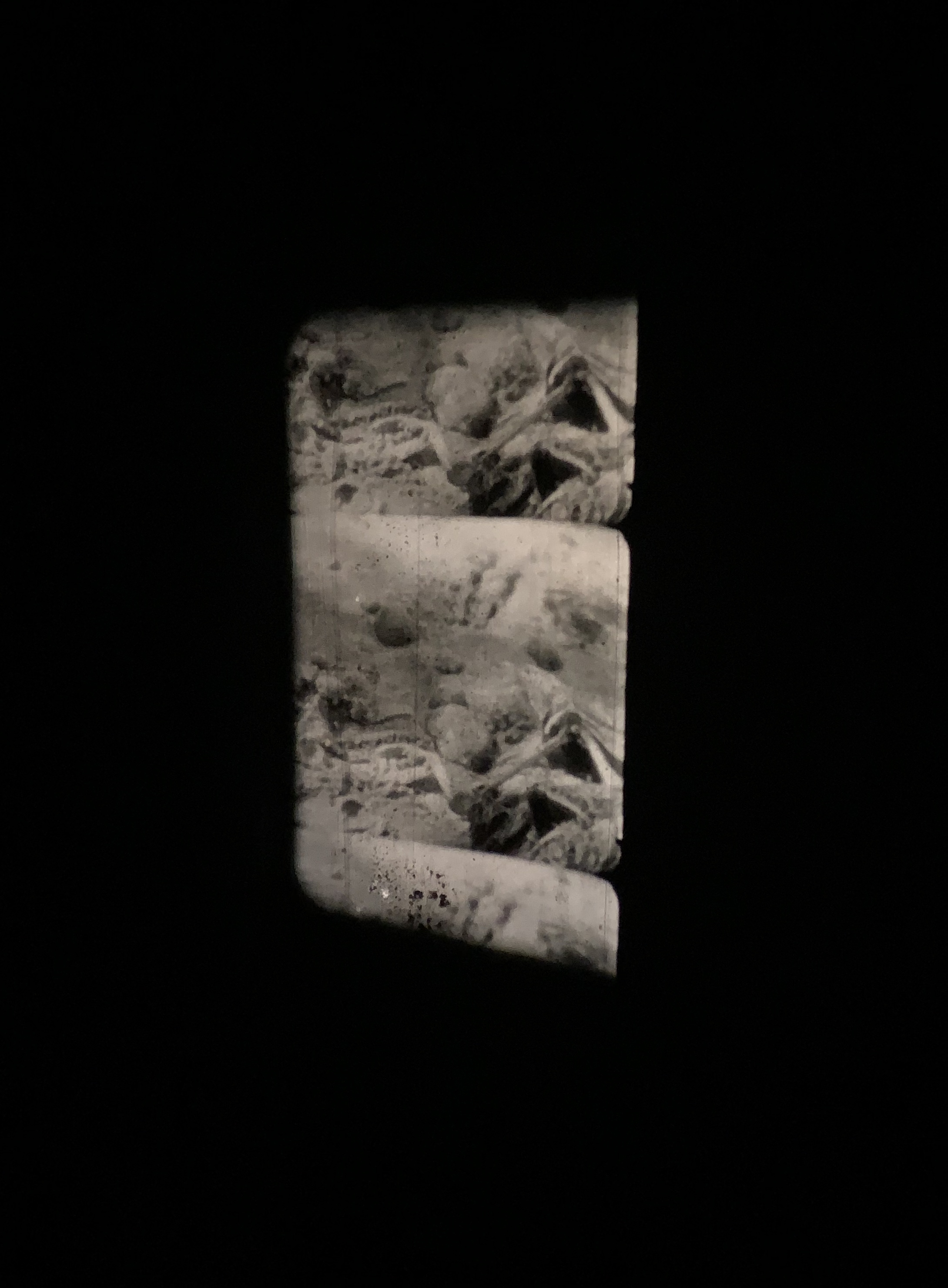 Death to nostalgia and to the tellings of my own beginnings