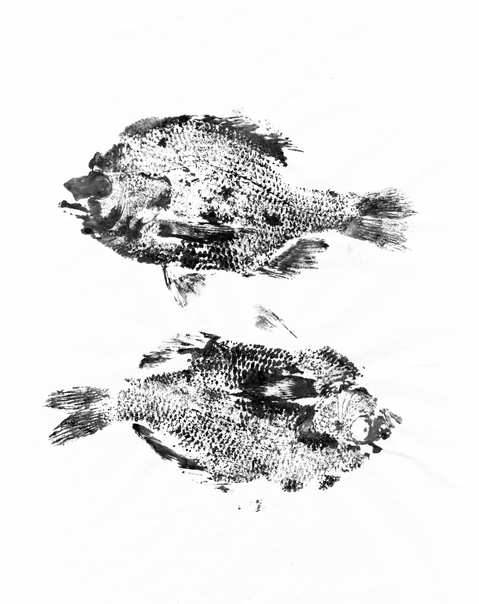 Fish Prints