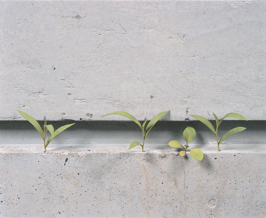 Enacting Political Craft: The Aesthetic of Handwork