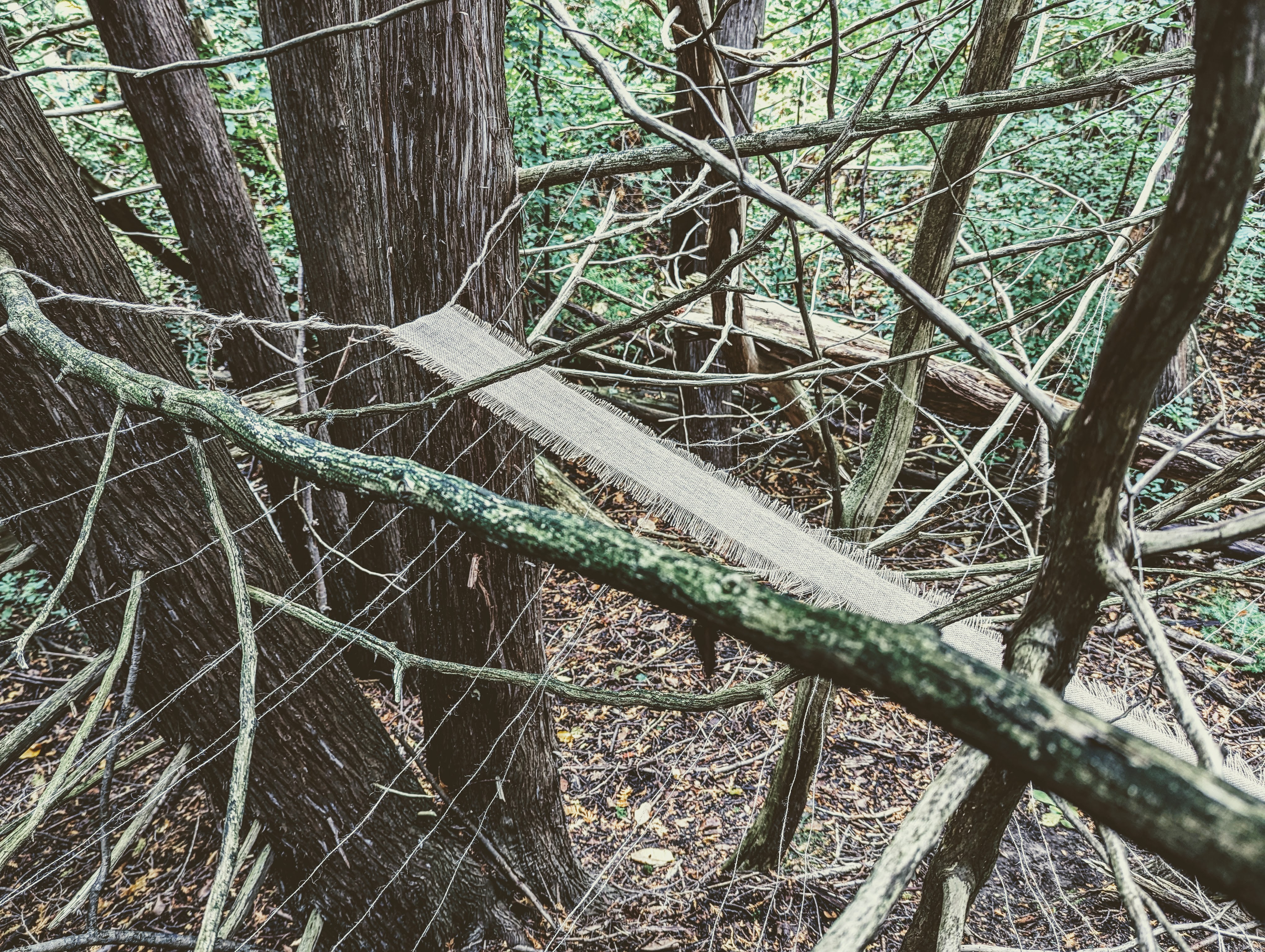 Pulling at the Threads of History