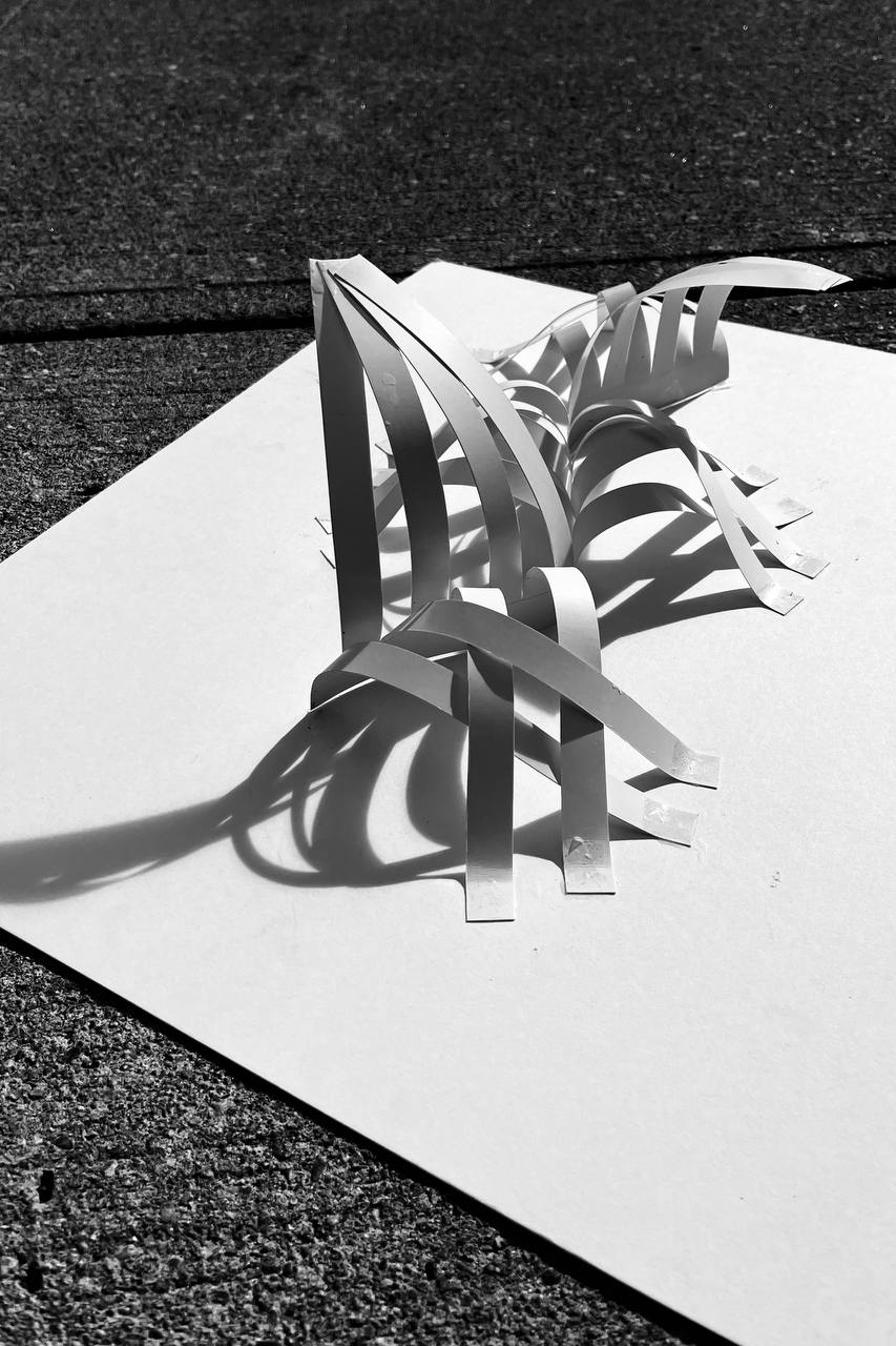 FORM AND SHADOW; COLOR AND LIGHT