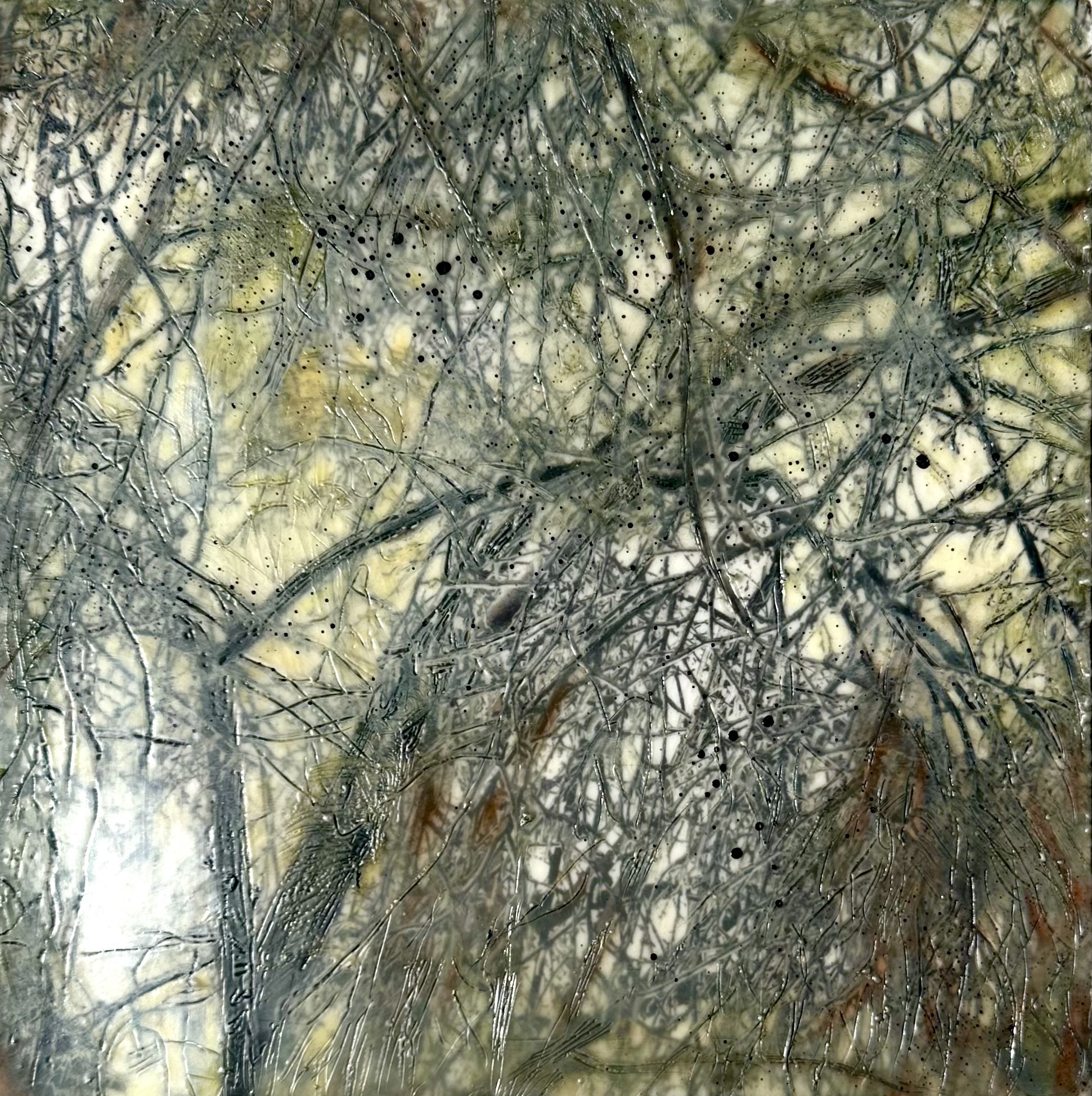 'Beauty in Frozen Devastation 5'