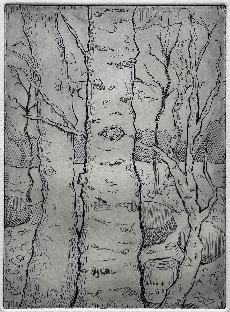 Birch Watcher