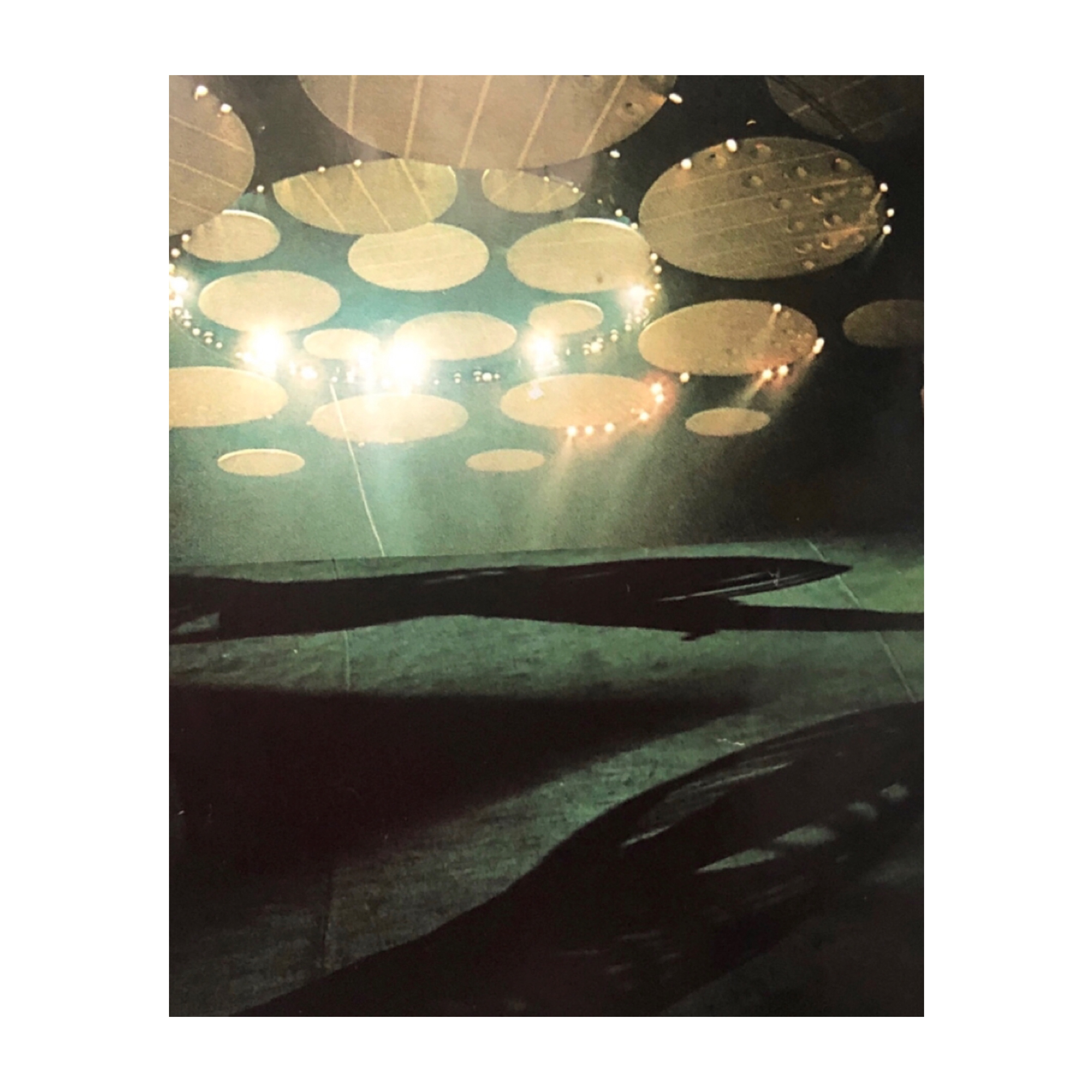 Rise Again, 2020, Collage, 35 x 29