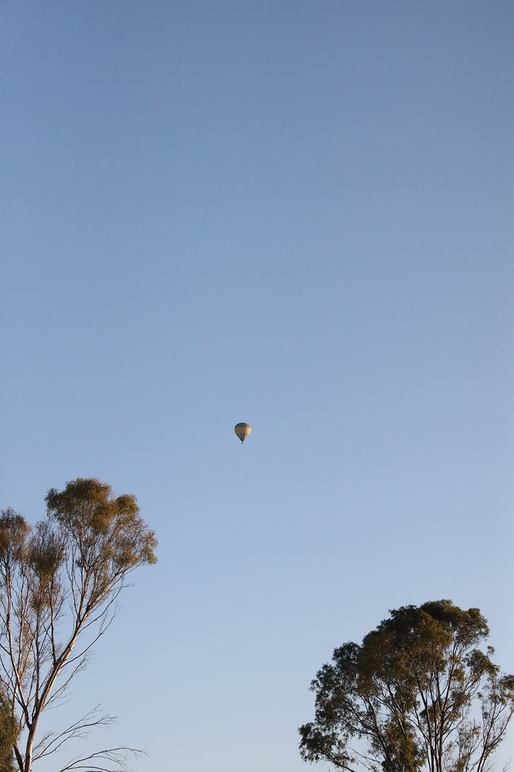 Arcos, Agua y Nopales 2