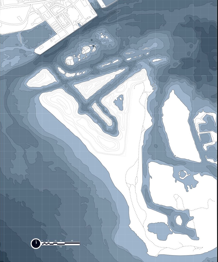 Terminal Succession: Stage 6