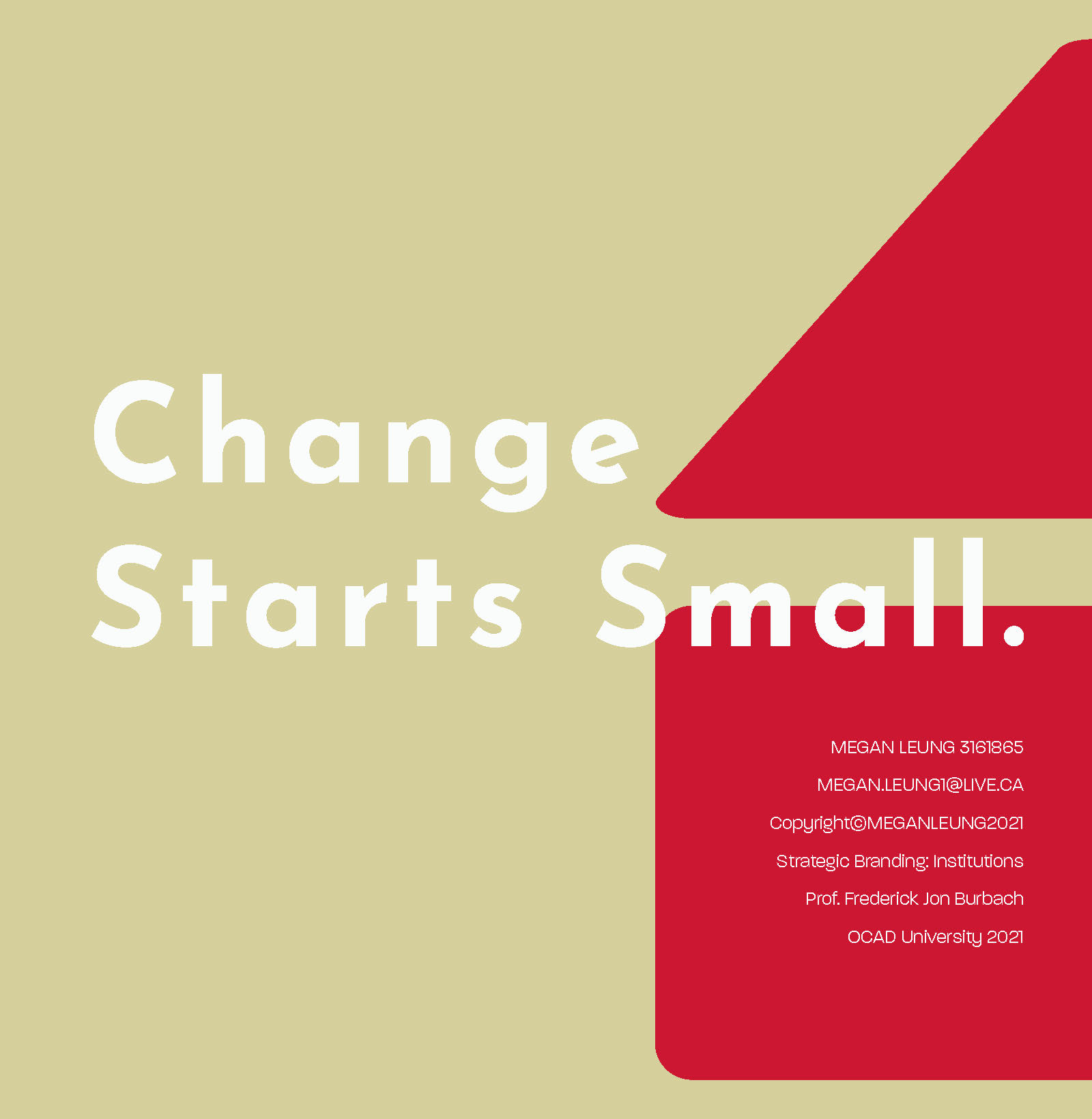 Capsulier Brand Book