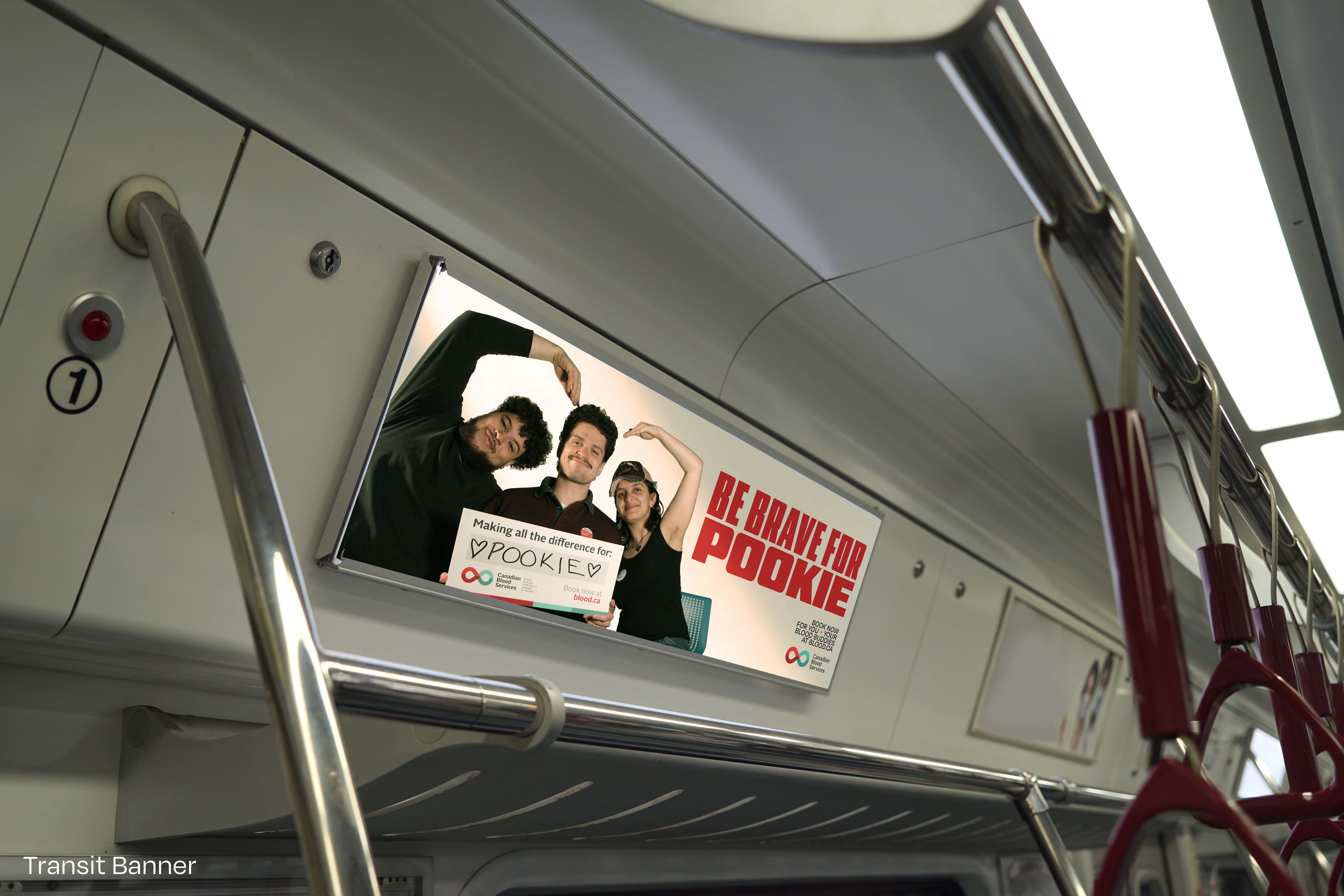 Blood Buddies - TTC Banner