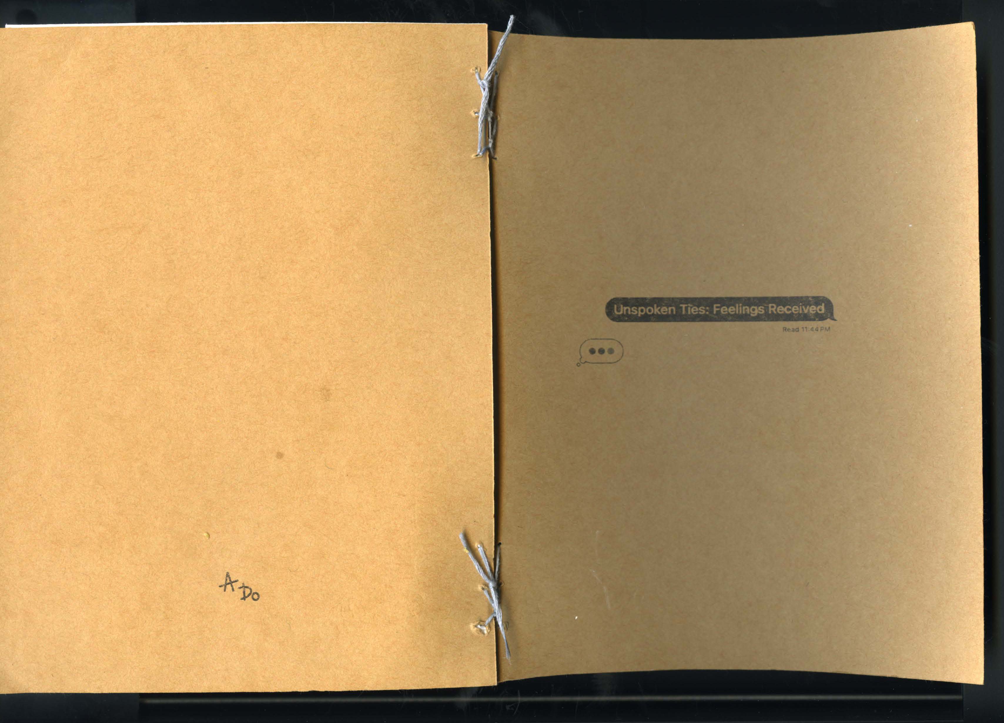 Unspoken Ties: Feelings Receieved