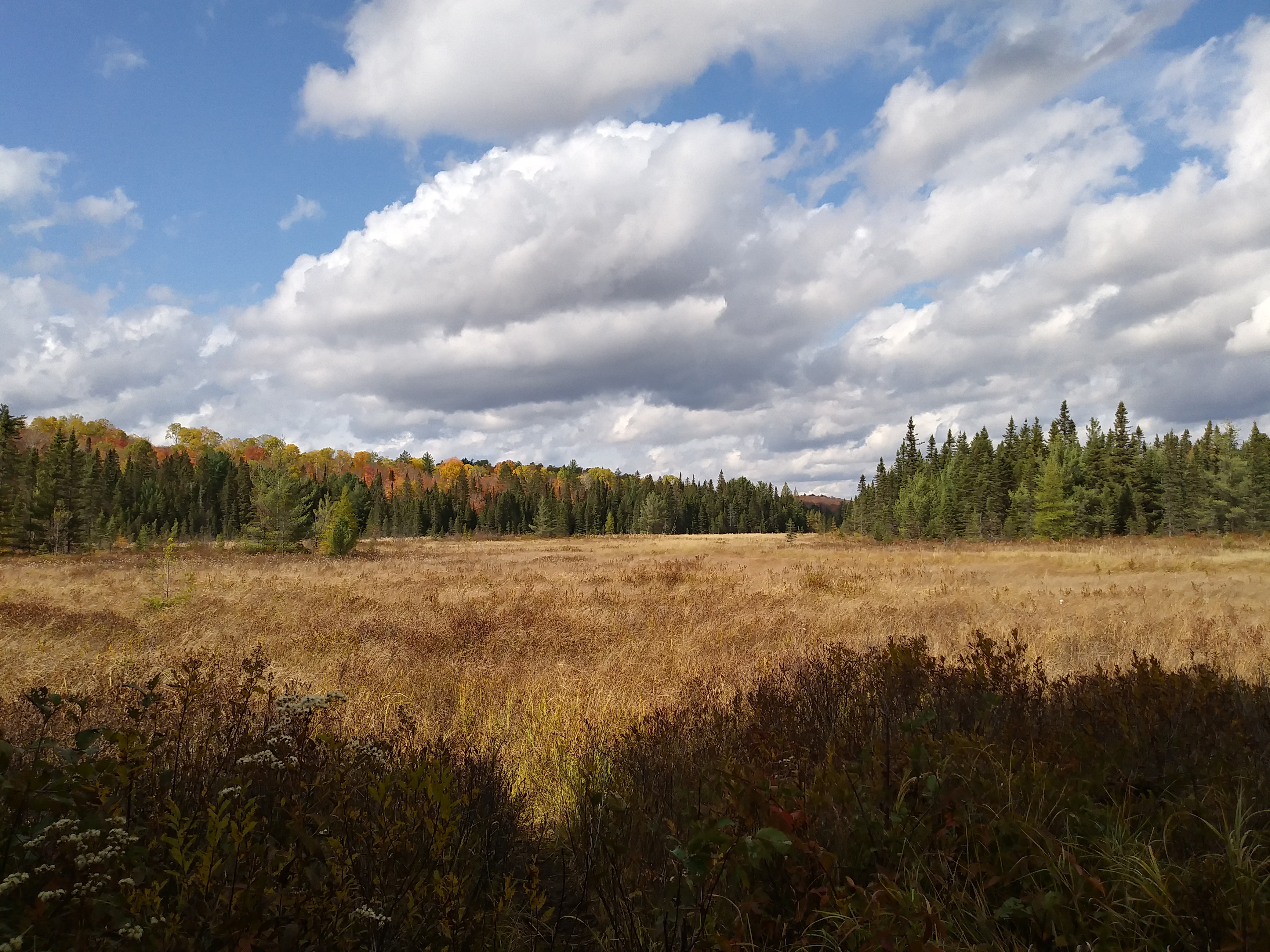 Photography Collection