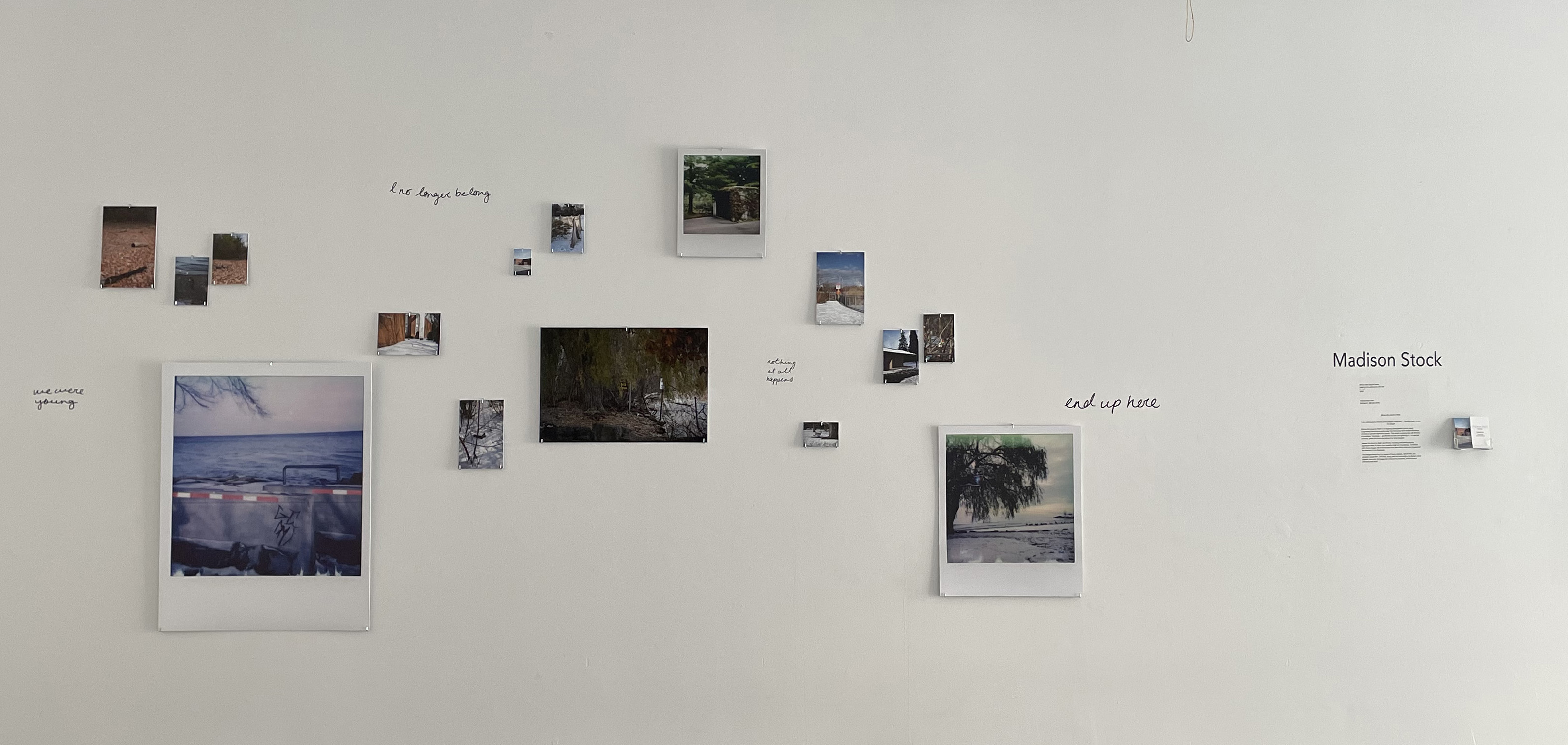 Where We Used to Walk - Installation