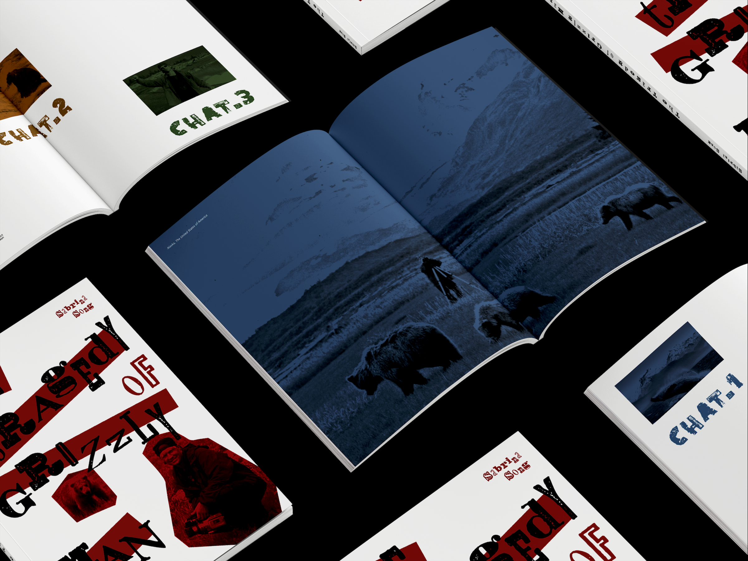 The Tragedy Of Grizzly Man