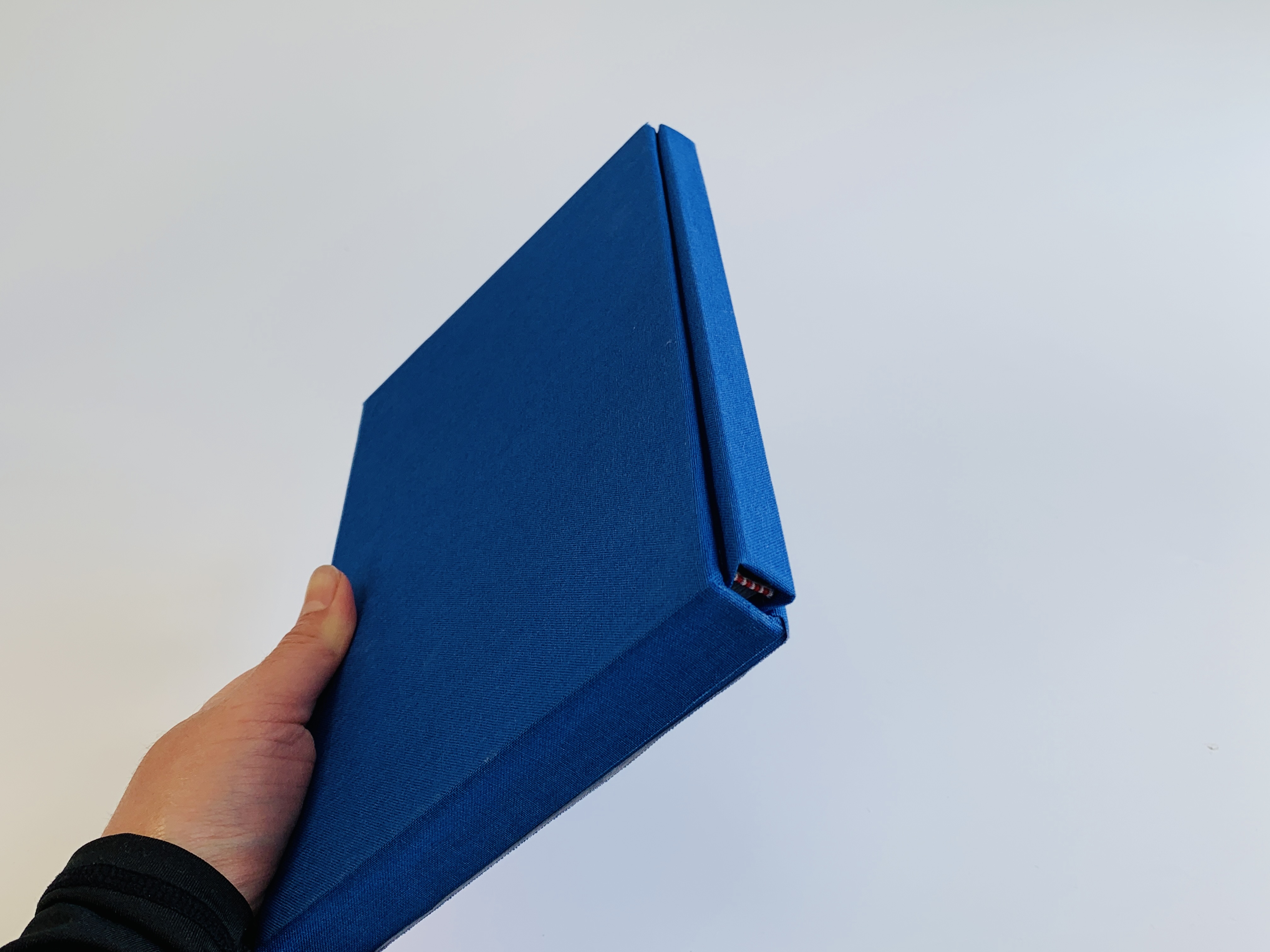 ▐  Case Binding ▐