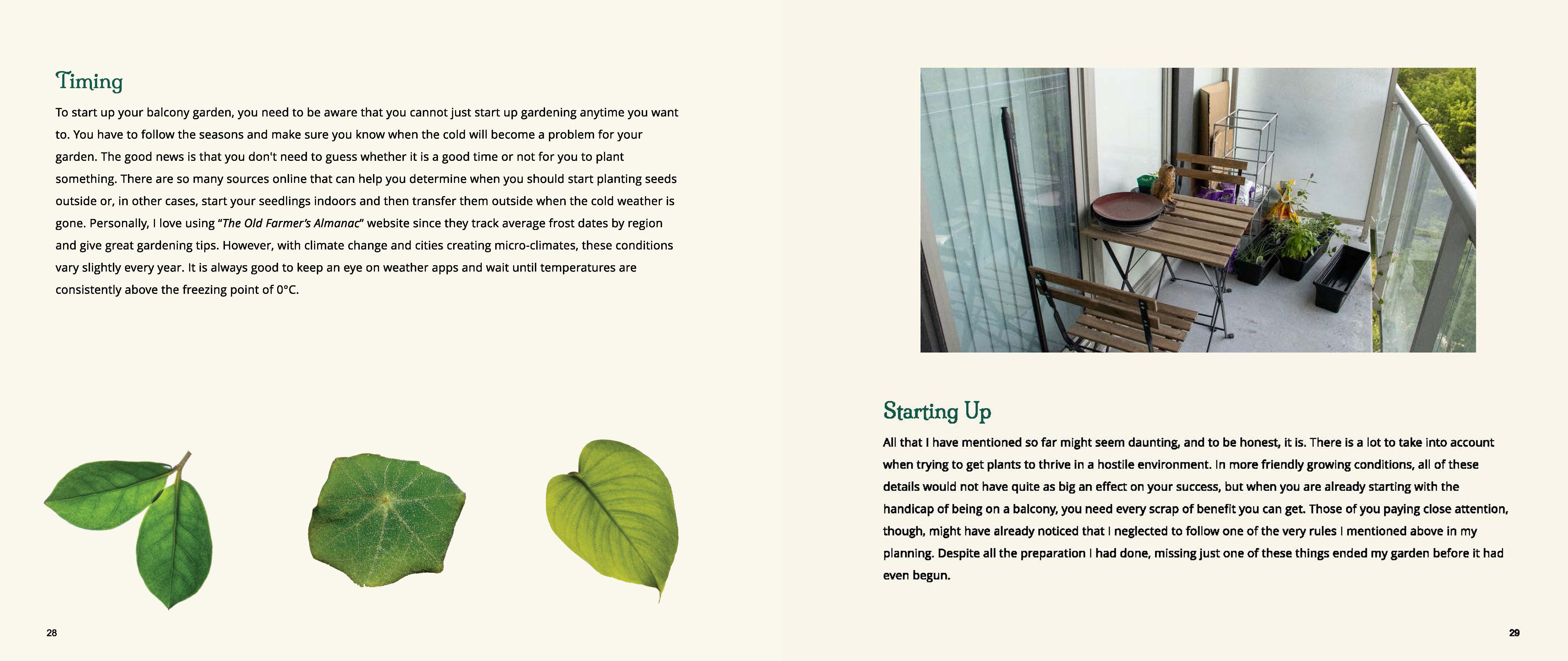 Recipe For A Garden