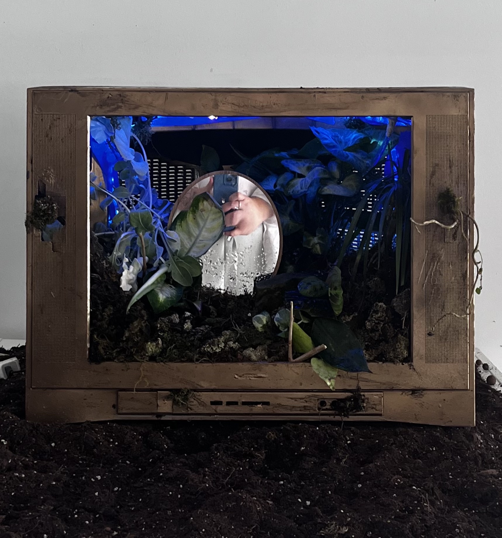 01 Jury Consideration - Watch the Land, Watching You