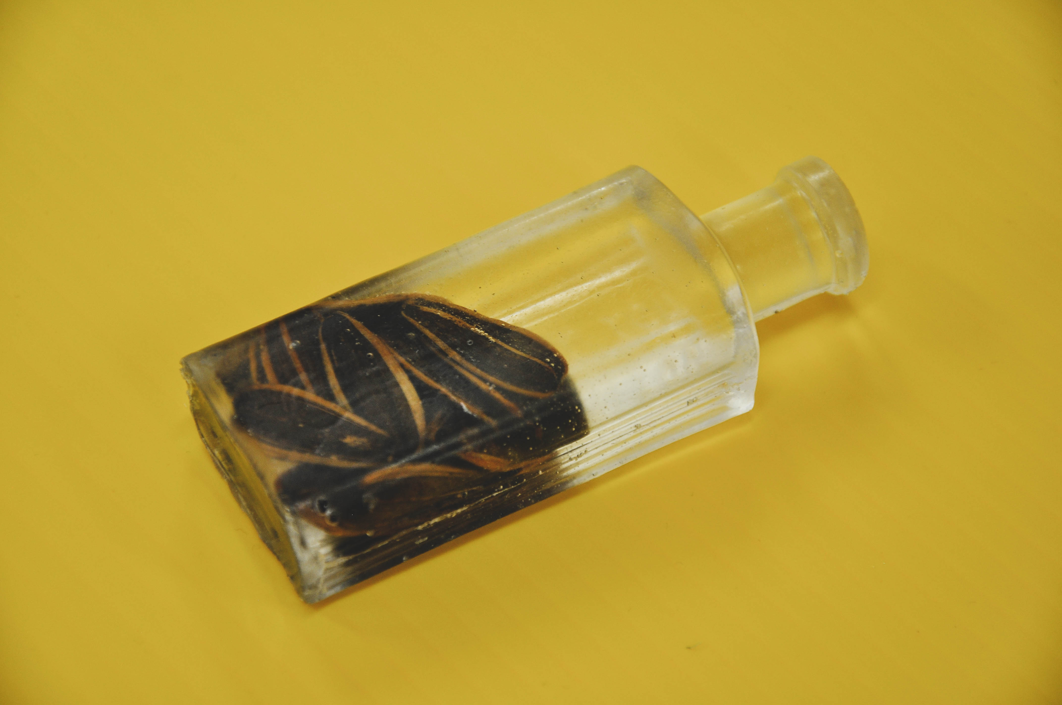 In Between Here and There