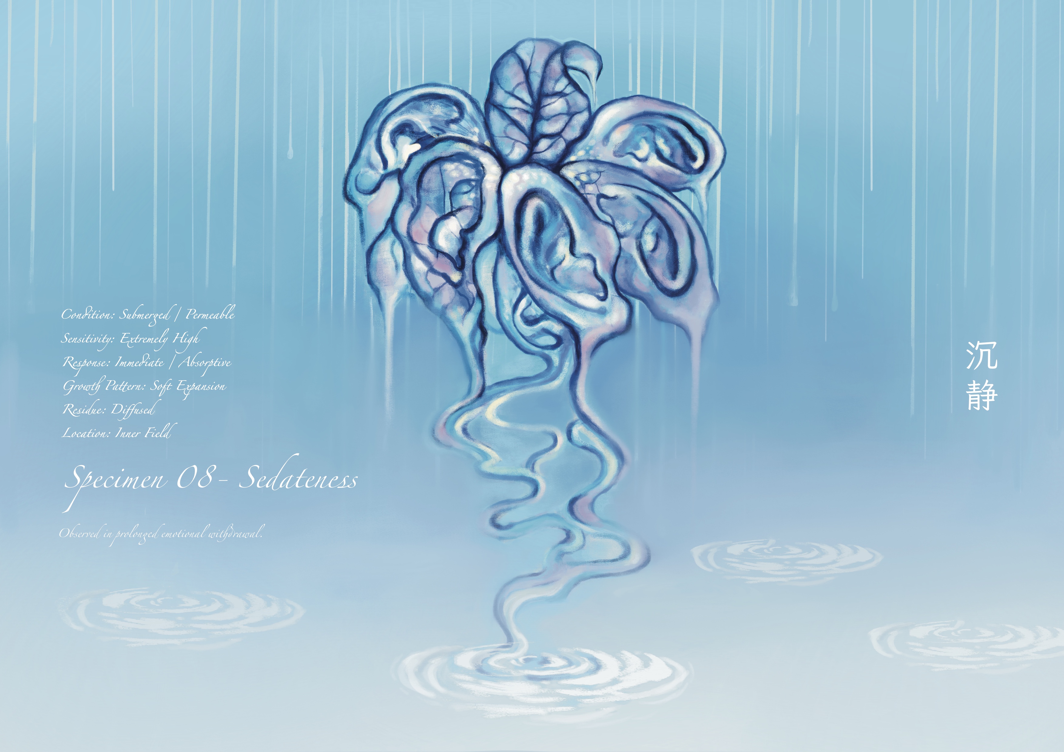 Sedateness沉静