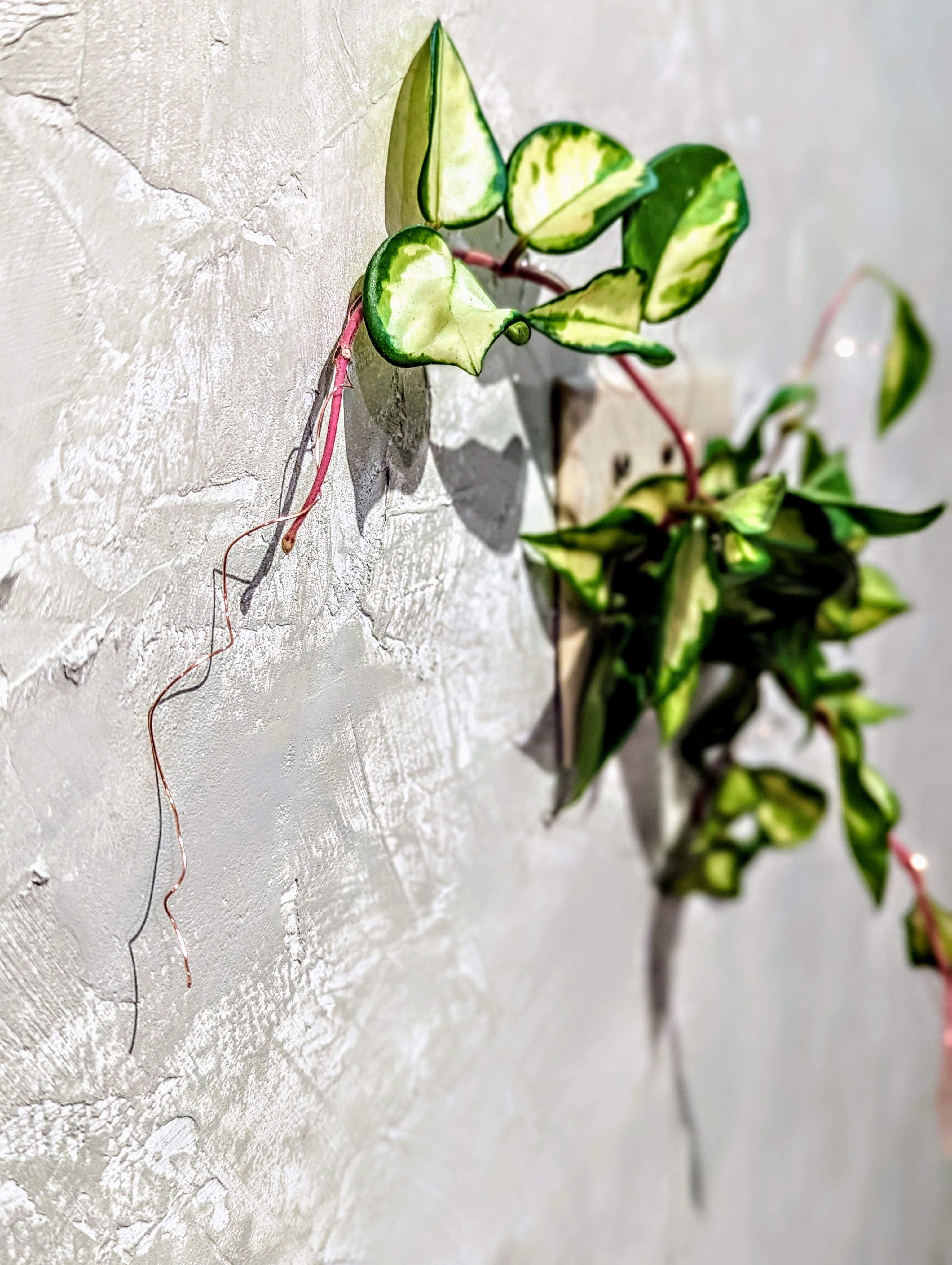 You feel like Home now.