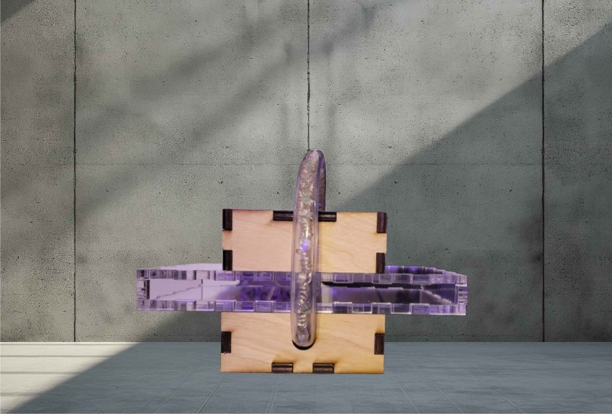 Laser Cut Lamp, Digital Collage- Course w/ Shaz Nasiri