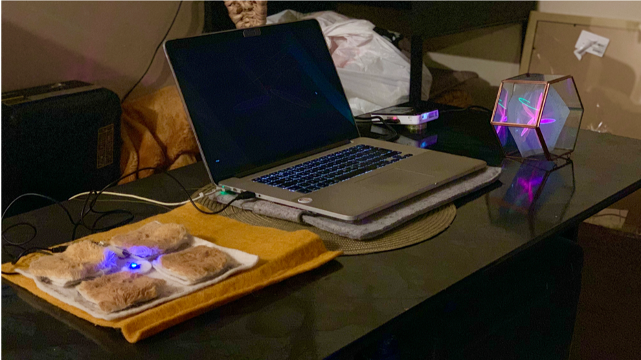 Personal Reactive Soft Sensory Mechanics