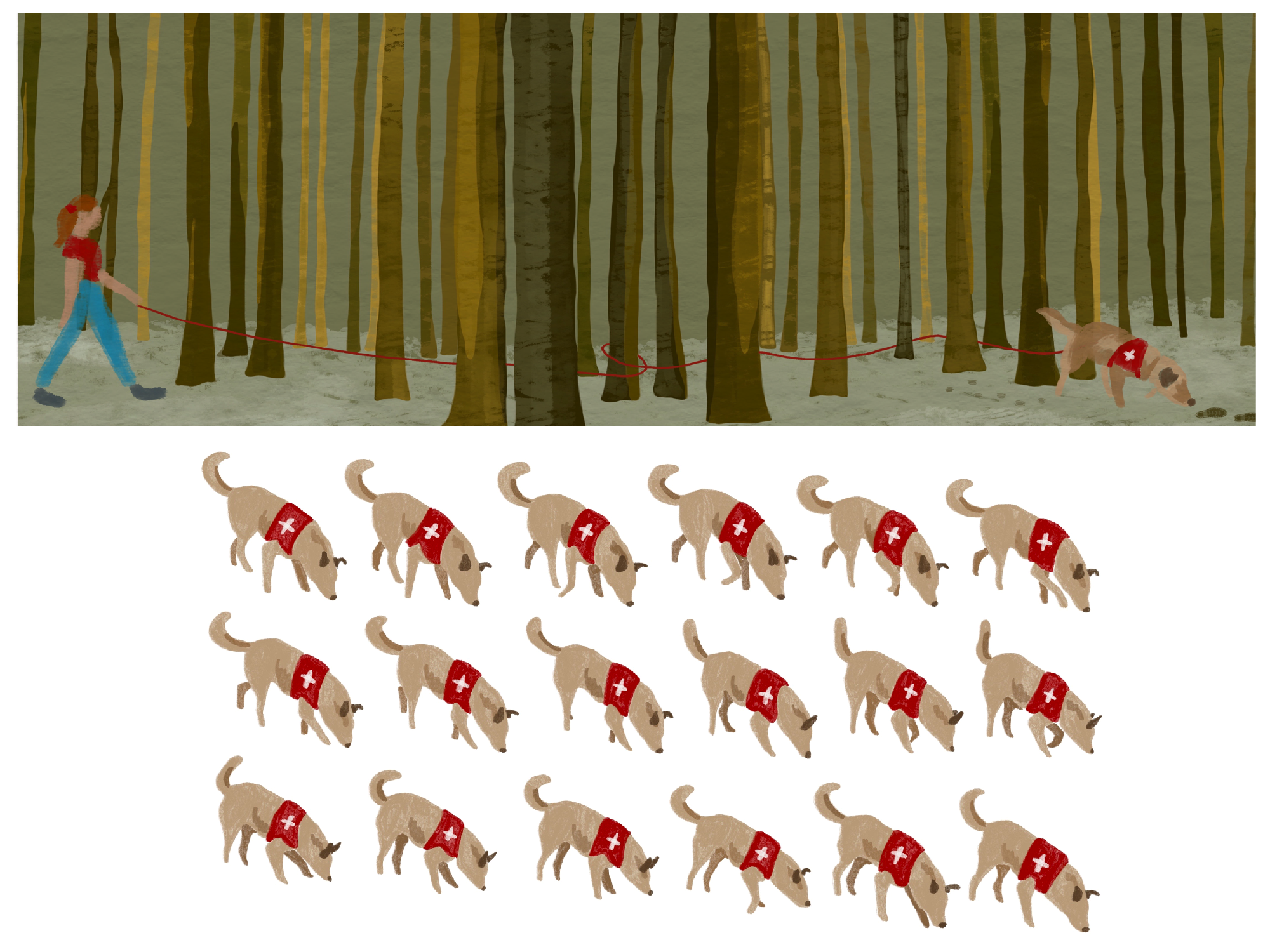 Susannah Charleson and Puzzle