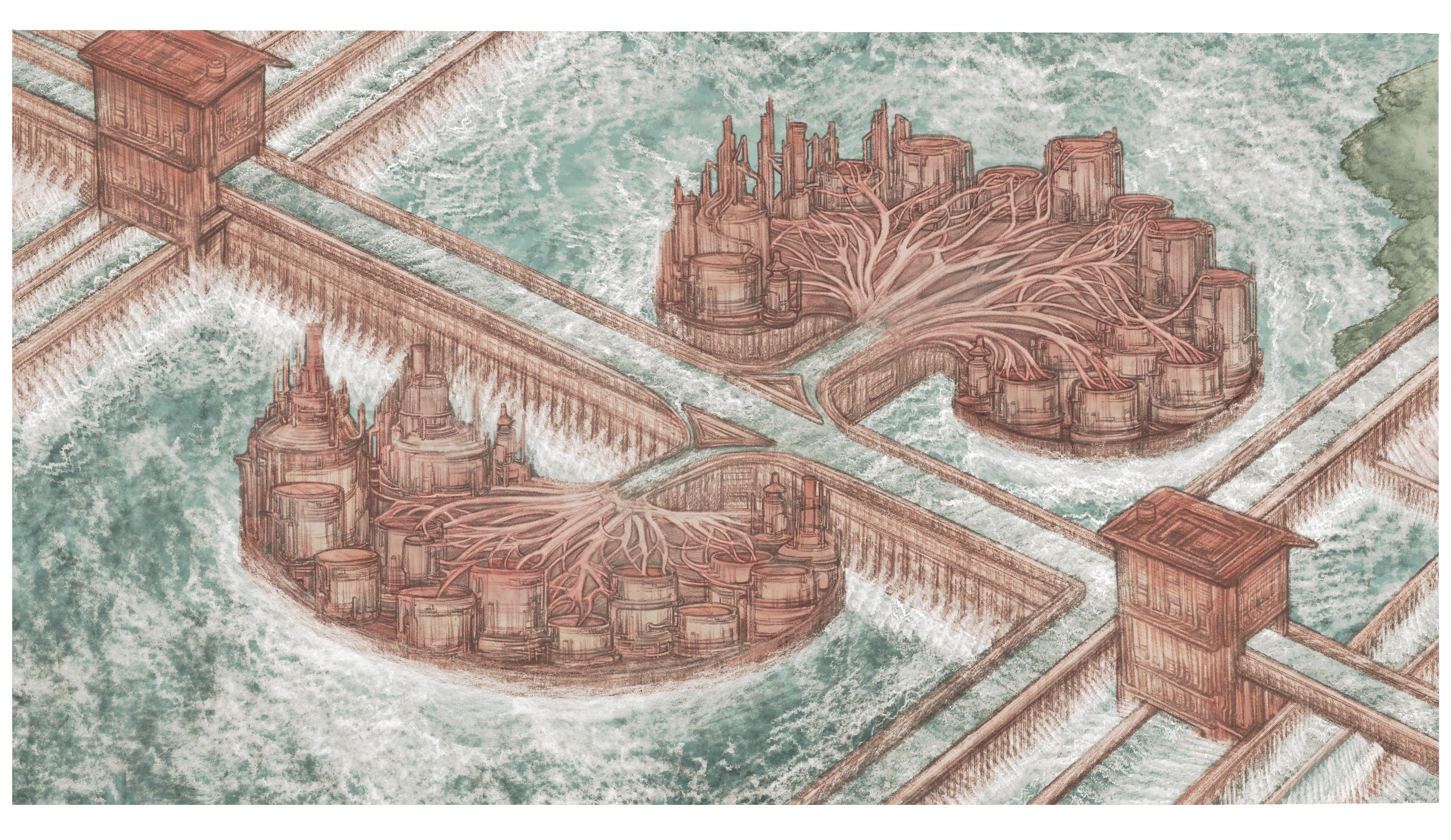 4 - The Renal Aqueduct