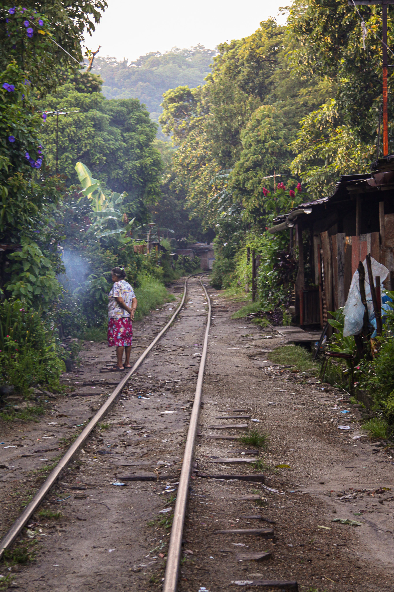 crónicas peculiar de juan j. carbonero (ii)
