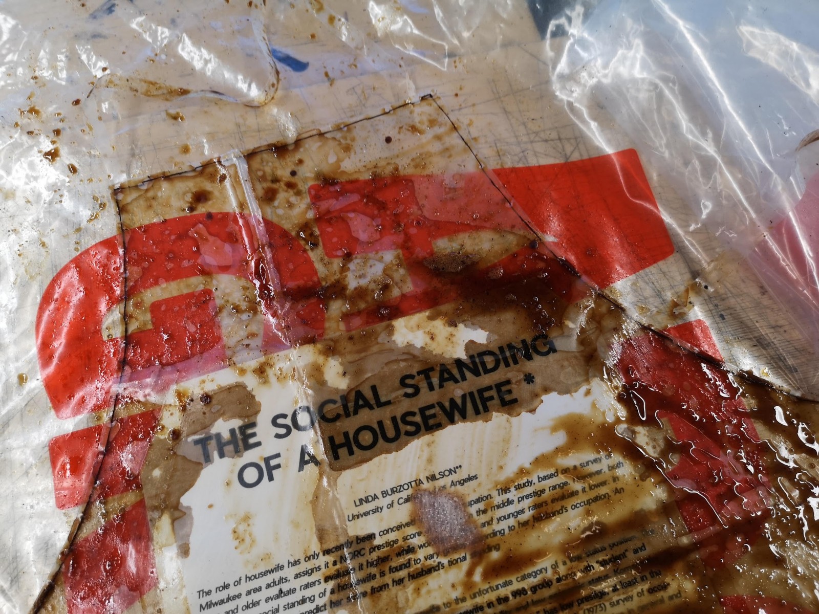 THE SOCIAL STANDING OF A HOUSEWIFE