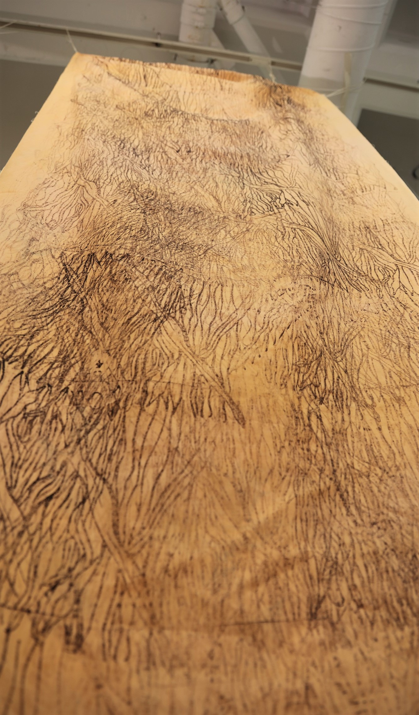 Madhuban (GradEx 107)