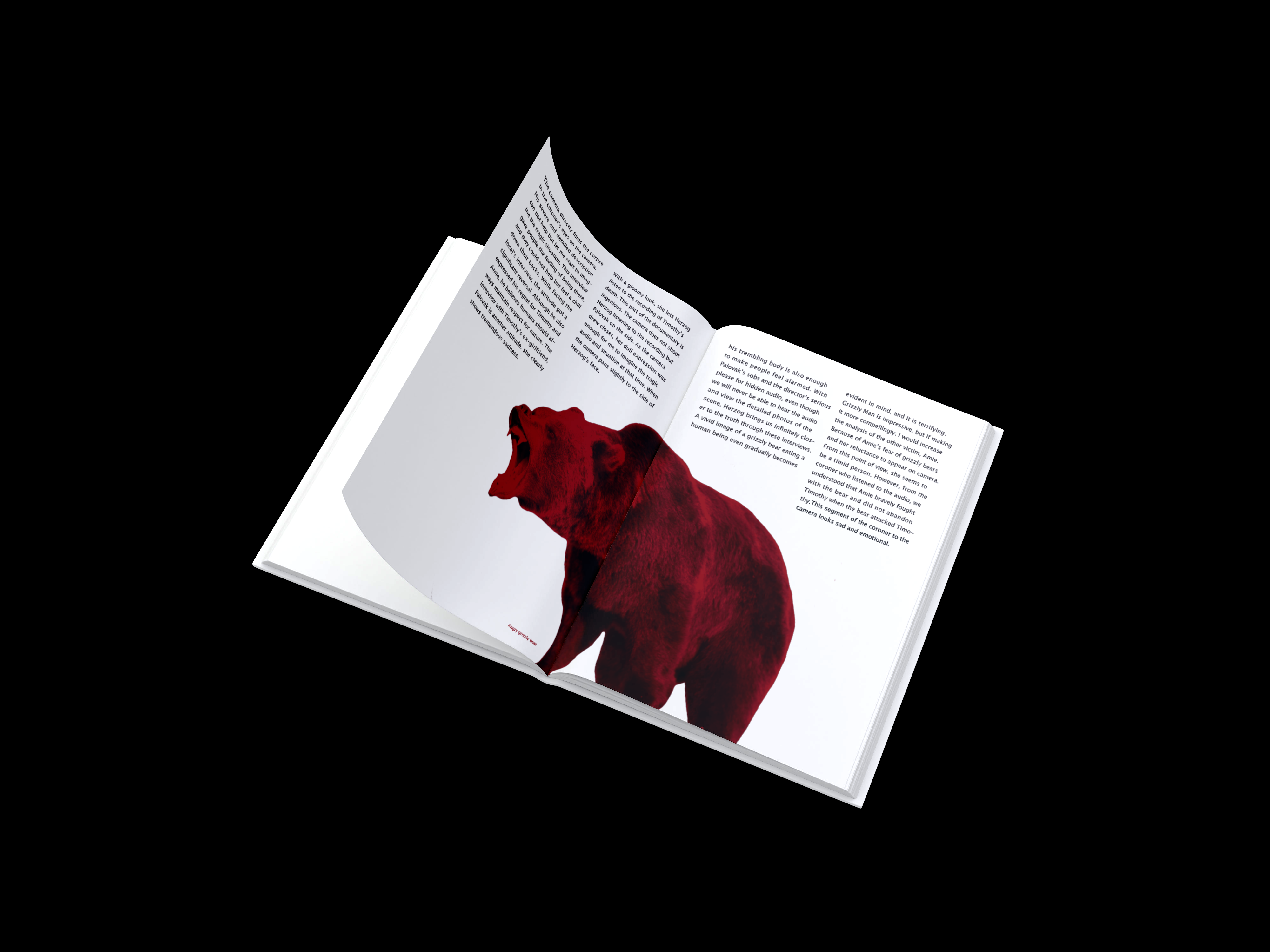 The Tragedy Of Grizzly Man