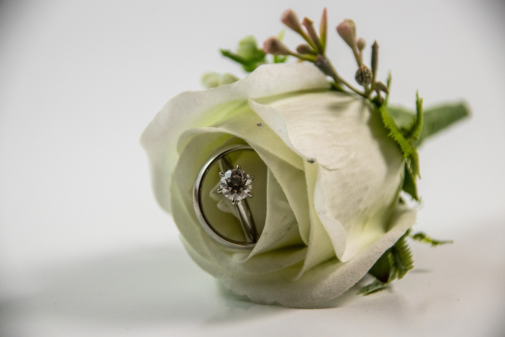 Simple Life, Simple Love